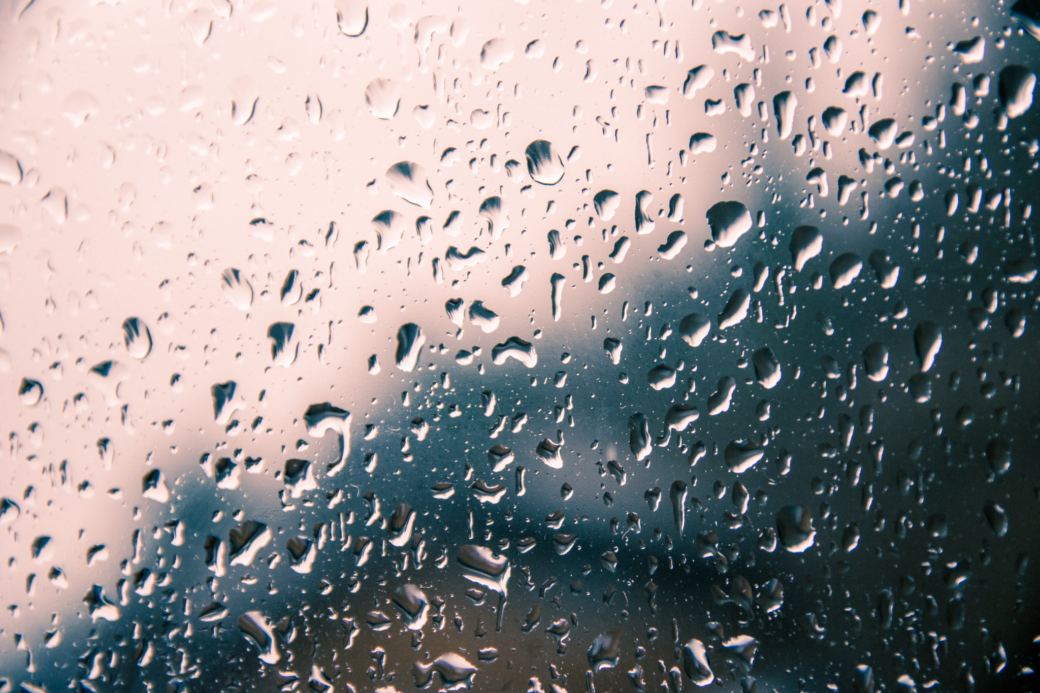 Sigma 17-50mm F2.8 EX DC OS HSM sample photo. Rainy day photography