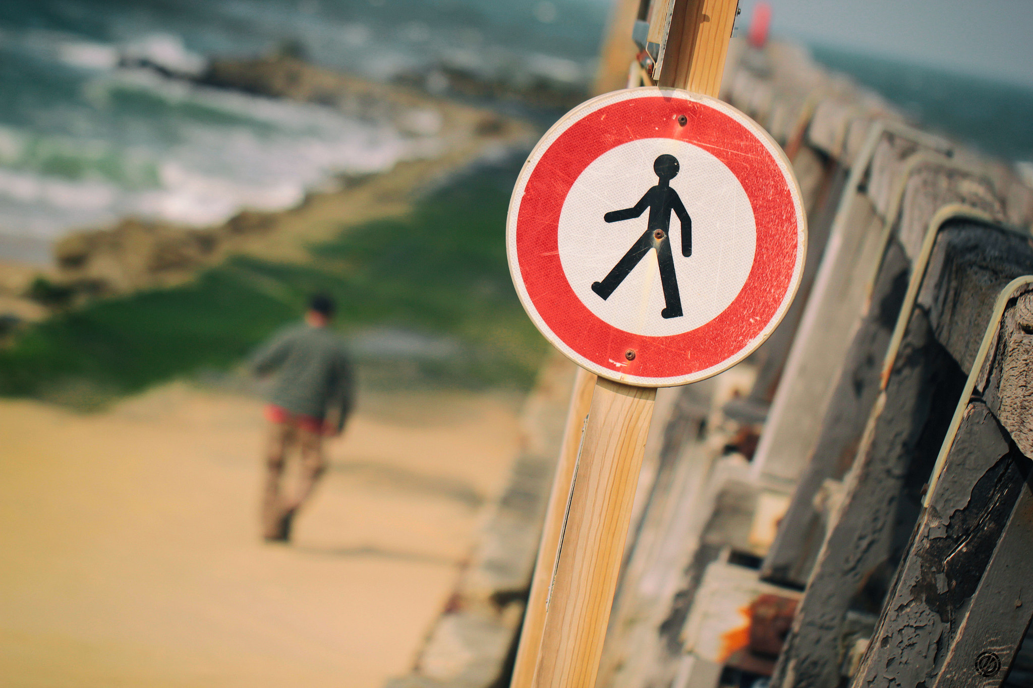 Canon EF 100mm F2.8L Macro IS USM sample photo. Don't walk! photography