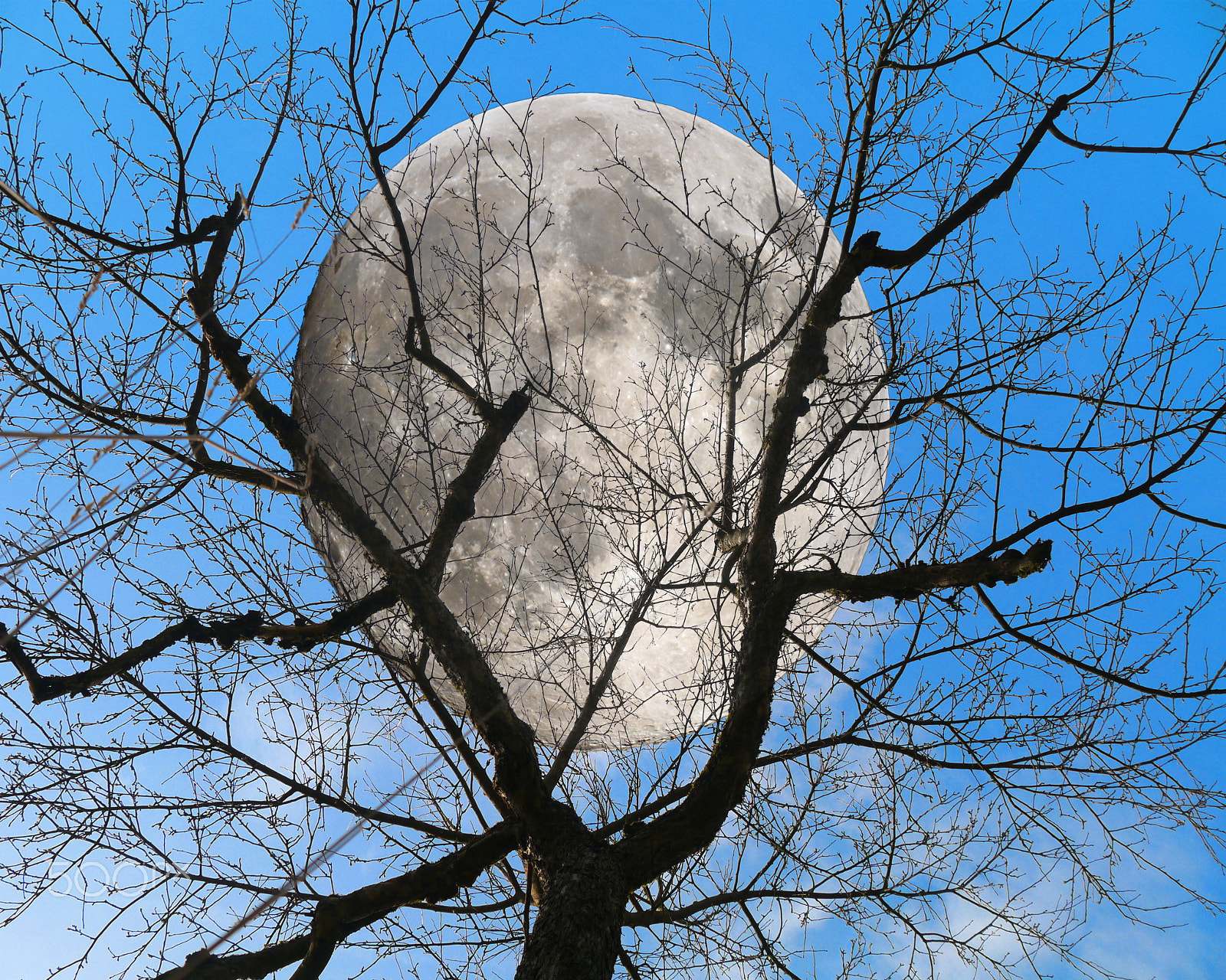 Panasonic Lumix DMC-G3 sample photo. Evening moon photography