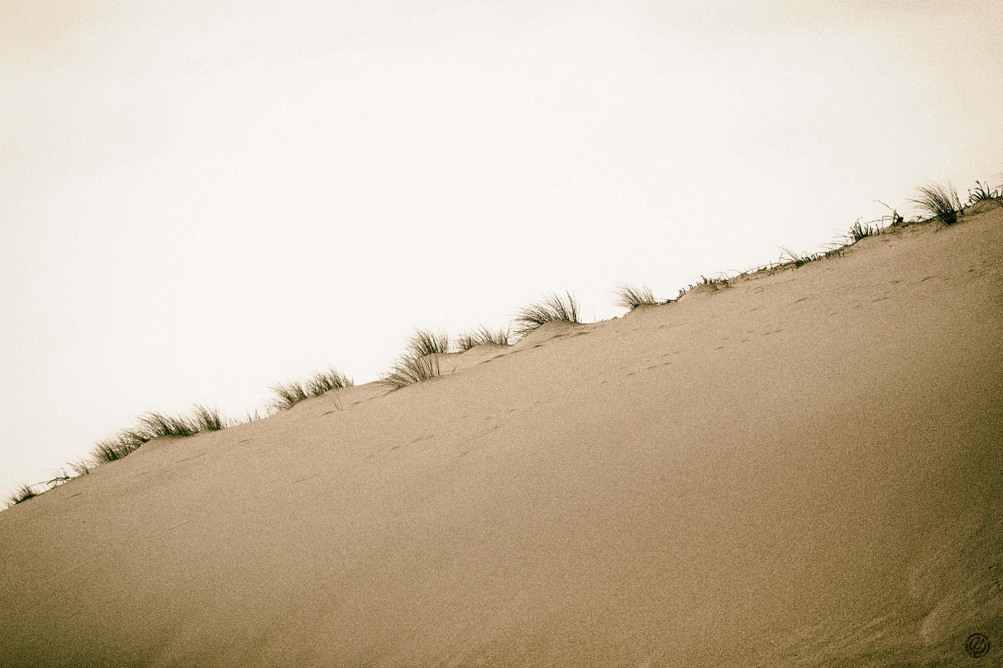Canon EF 100mm F2.8L Macro IS USM sample photo. Sand photography