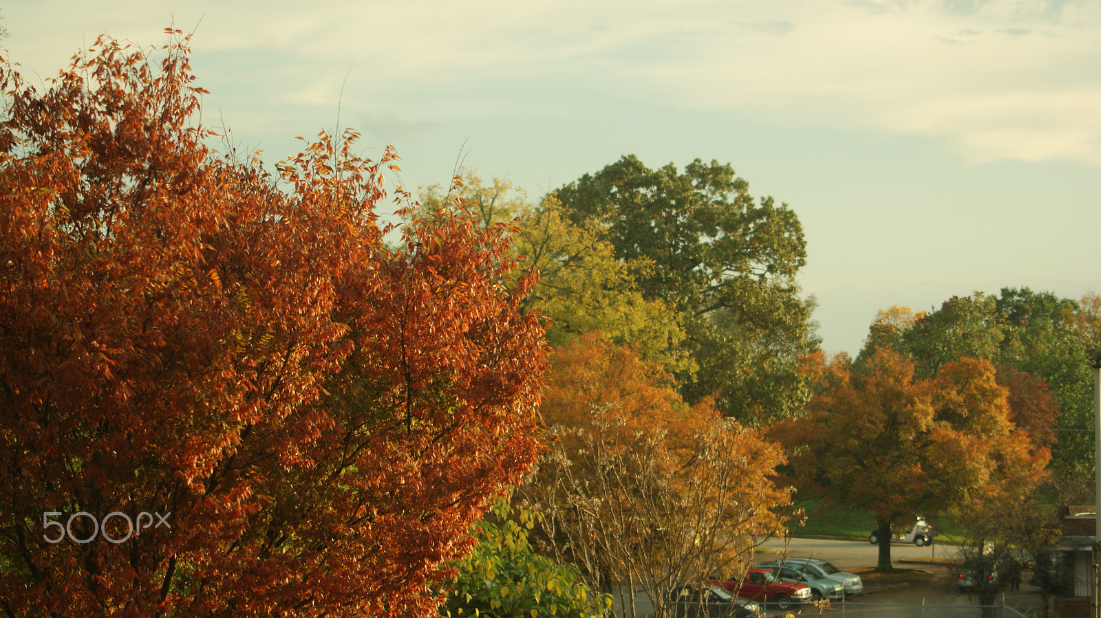 Sony Alpha DSLR-A230 sample photo. Fallscape photography