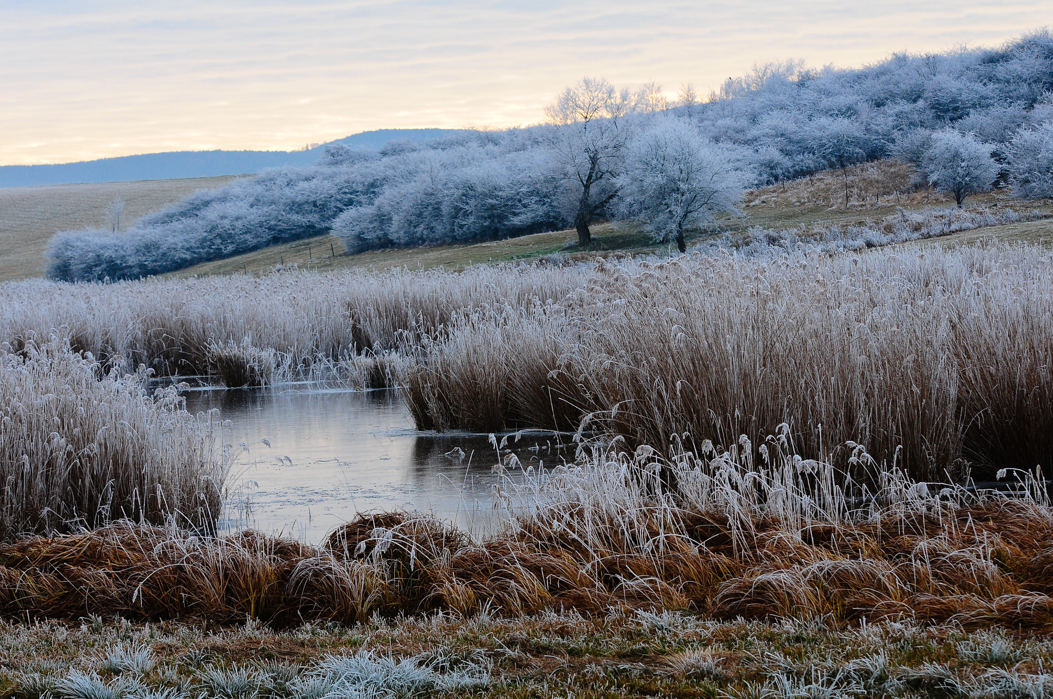 Nikon D300 + Sigma 70-200mm F2.8 EX DG OS HSM sample photo. Lake with hoarfrost photography