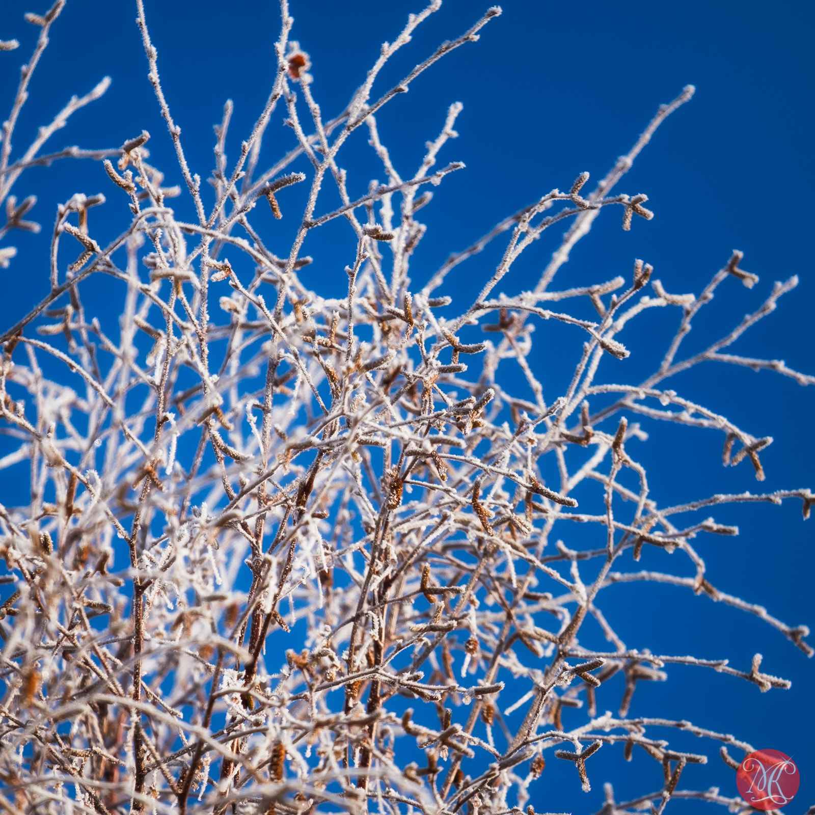 Fujifilm X-E2 + Fujifilm XF 55-200mm F3.5-4.8 R LM OIS sample photo. A gorgeous day ahead photography