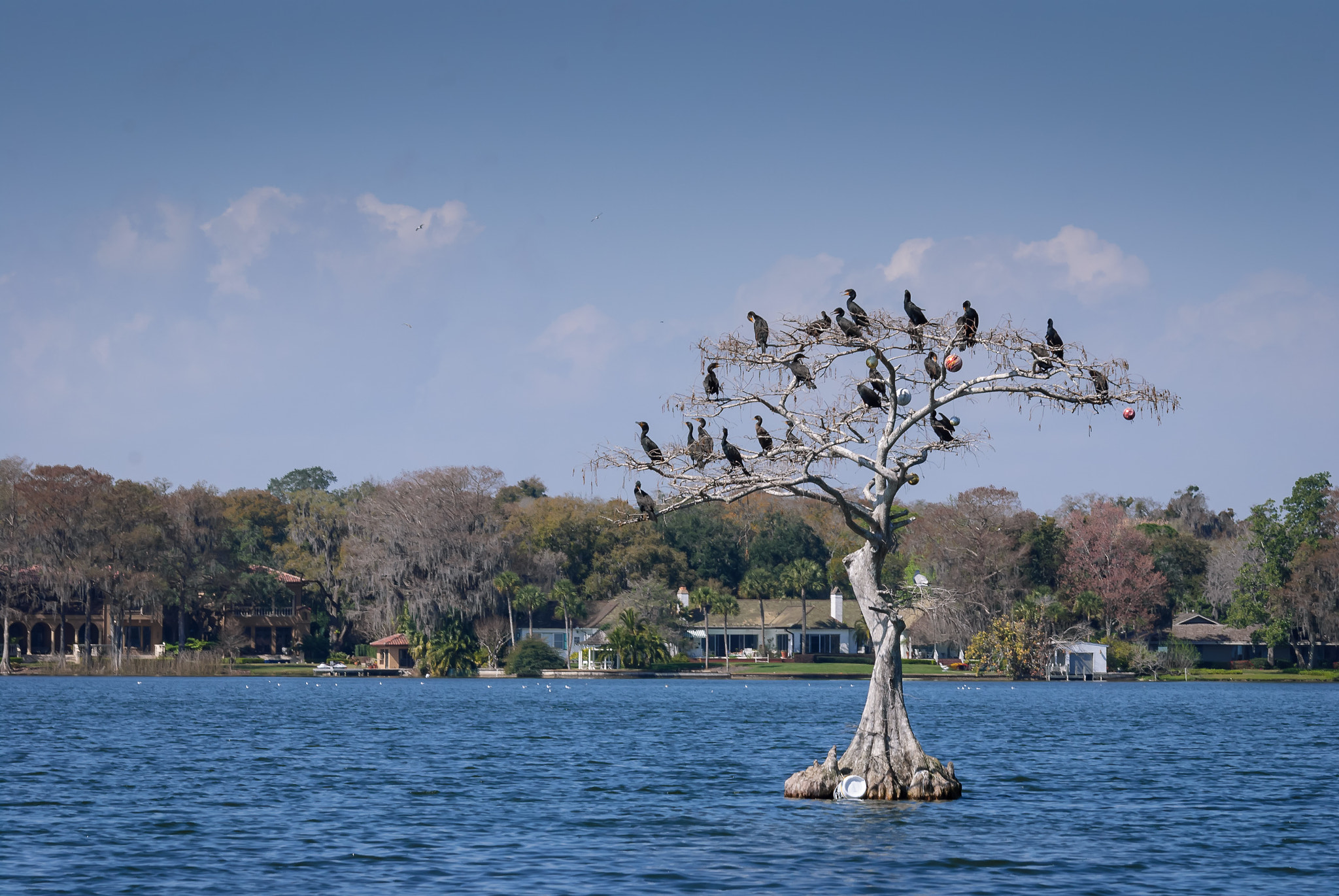 Sigma 70-300mm F4-5.6 DG OS sample photo. 5747970461.jpg photography