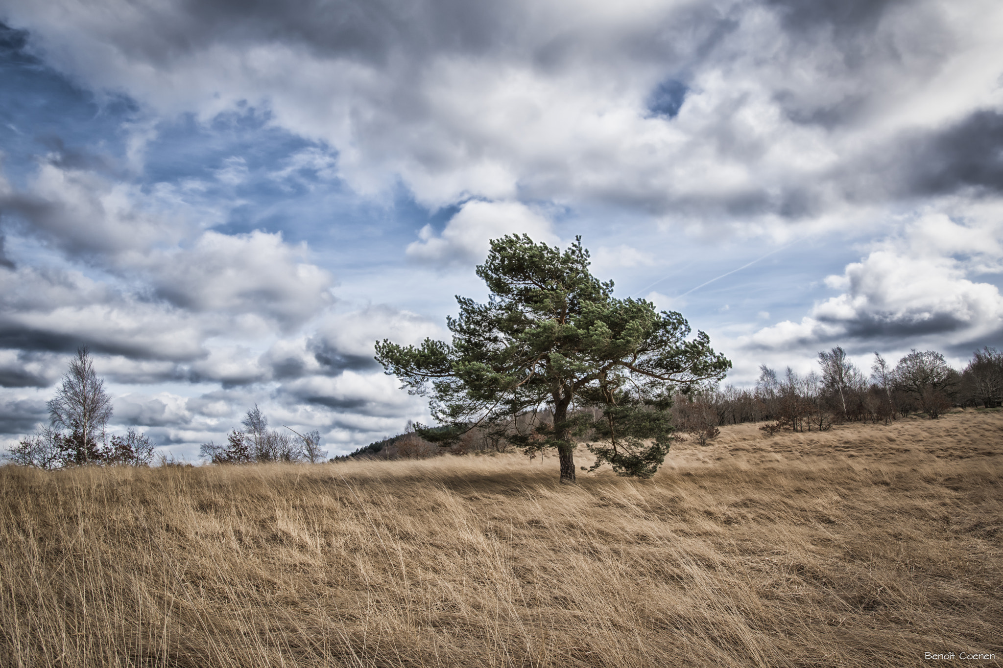 Sigma 18-35mm F1.8 DC HSM Art sample photo. Chaudfontaine photography