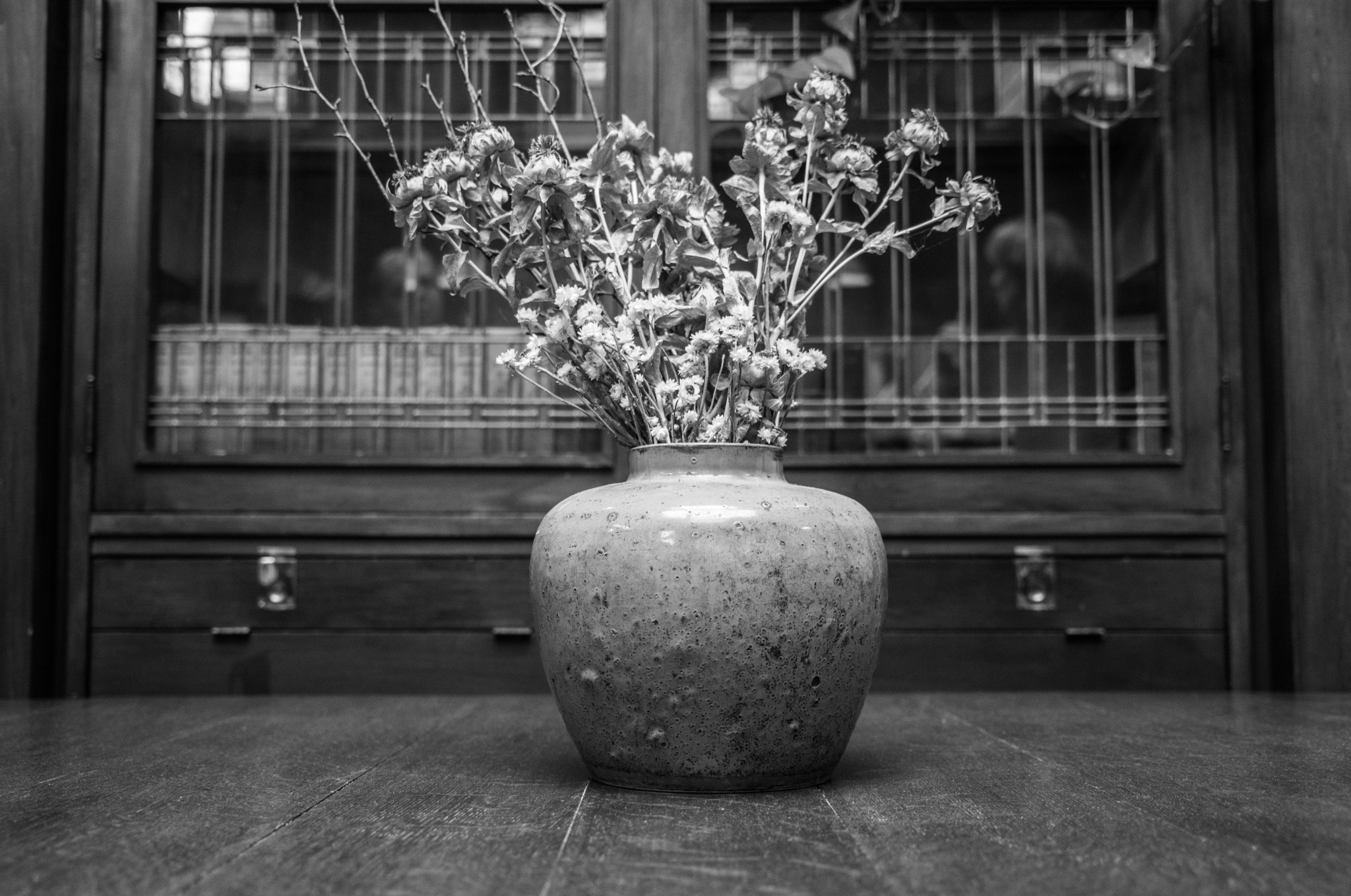Sony a7R + Sony FE 24-240mm F3.5-6.3 OSS sample photo. Dead flowers photography