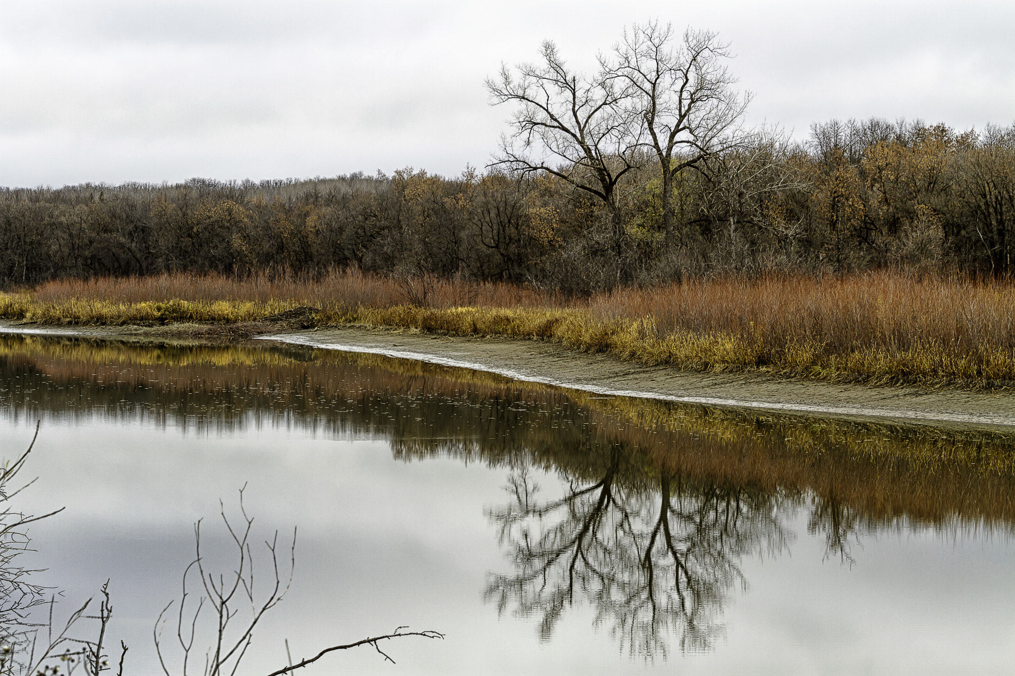 Canon EOS 7D sample photo