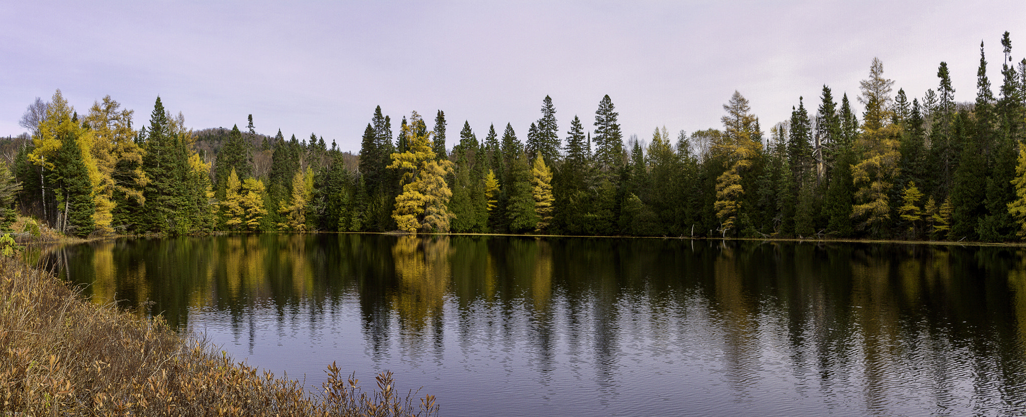 Canon EOS 7D + Canon EF-S 24mm F2.8 STM sample photo