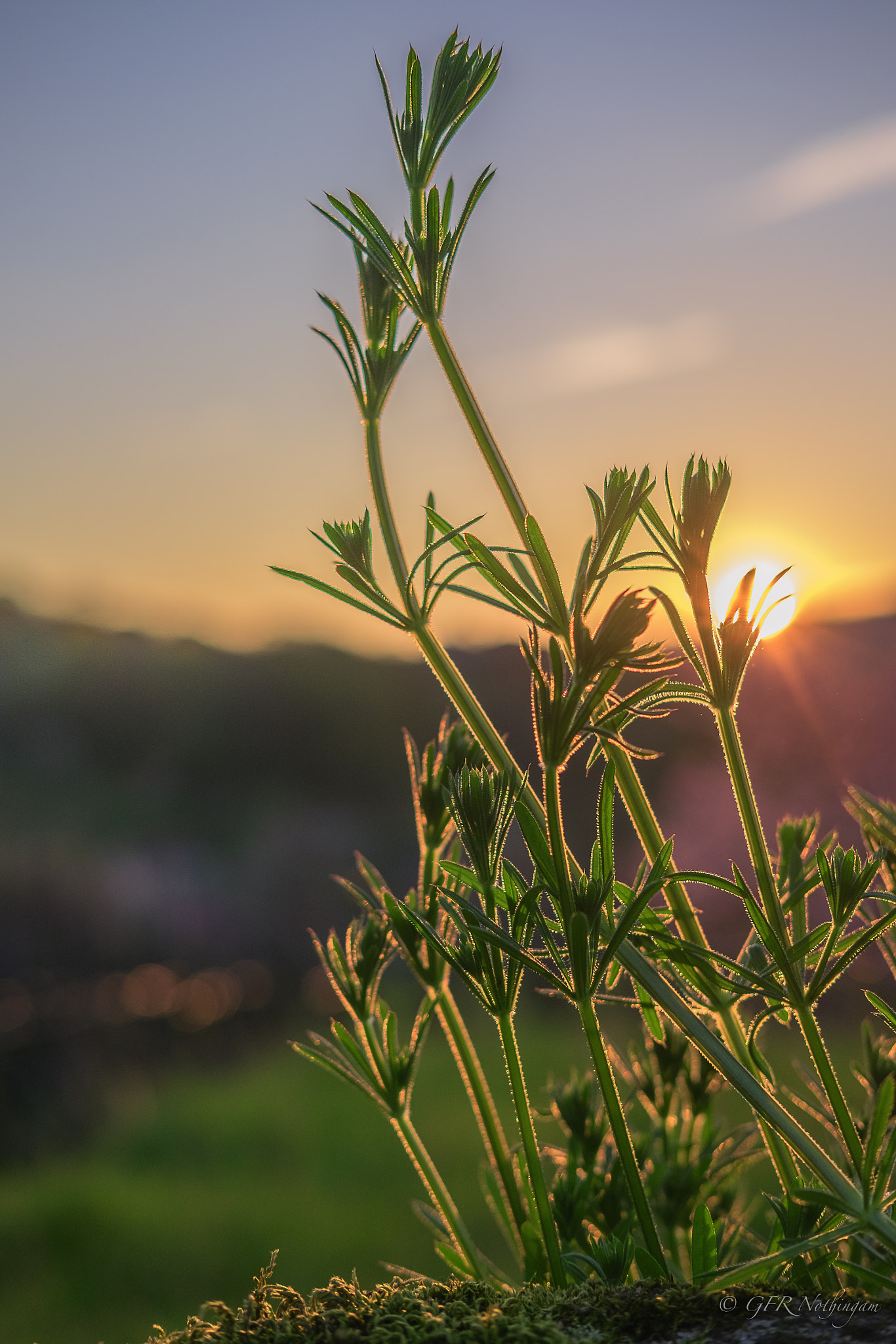 Fujifilm X-T1 + Fujifilm XF 35mm F2 R WR sample photo. Atardecer photography