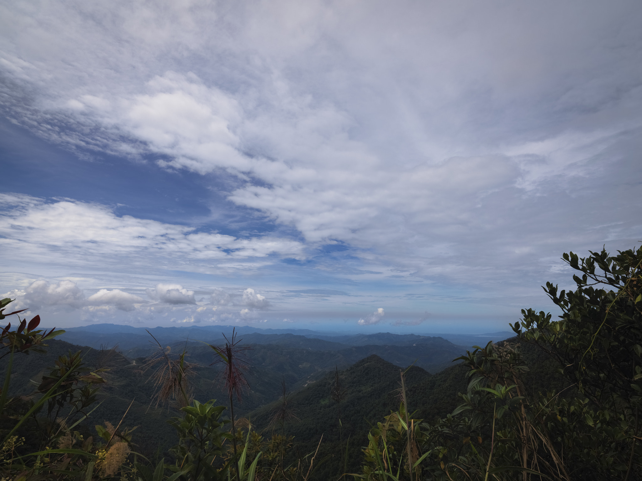 HCD 28 sample photo. The borneo valley. malaysia. photography