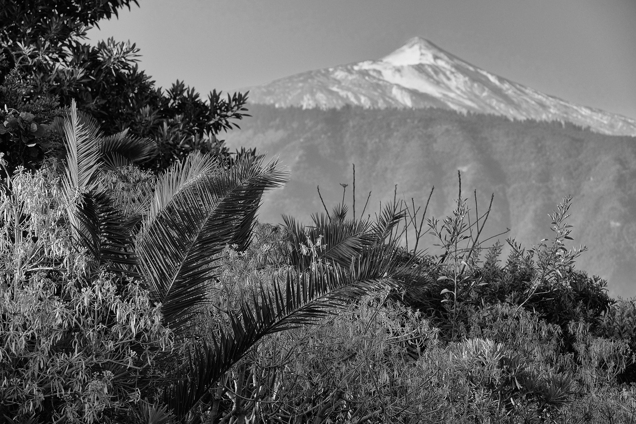 Fujifilm XF 50-140mm F2.8 R LM OIS WR sample photo. El teide photography