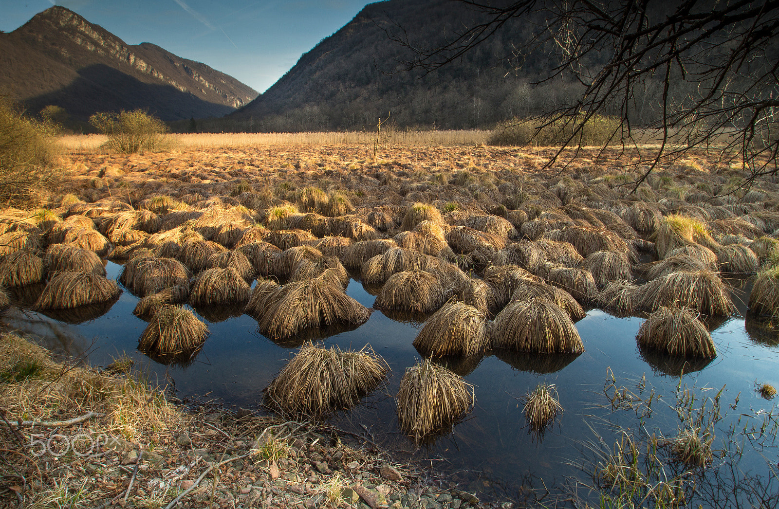Sigma 10-20mm F3.5 EX DC HSM sample photo. Wetland photography