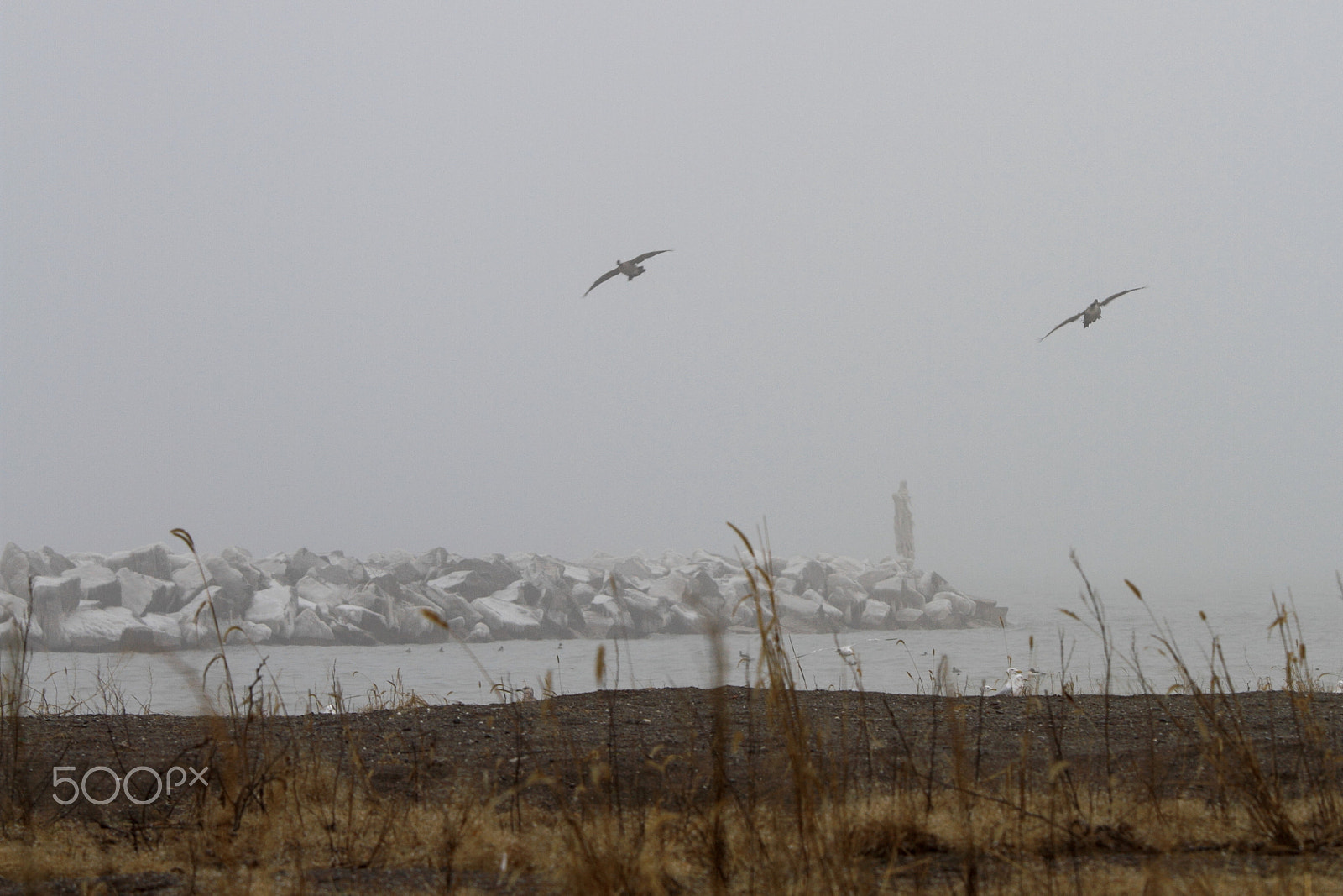 Canon EOS 7D sample photo. Foggy landing photography