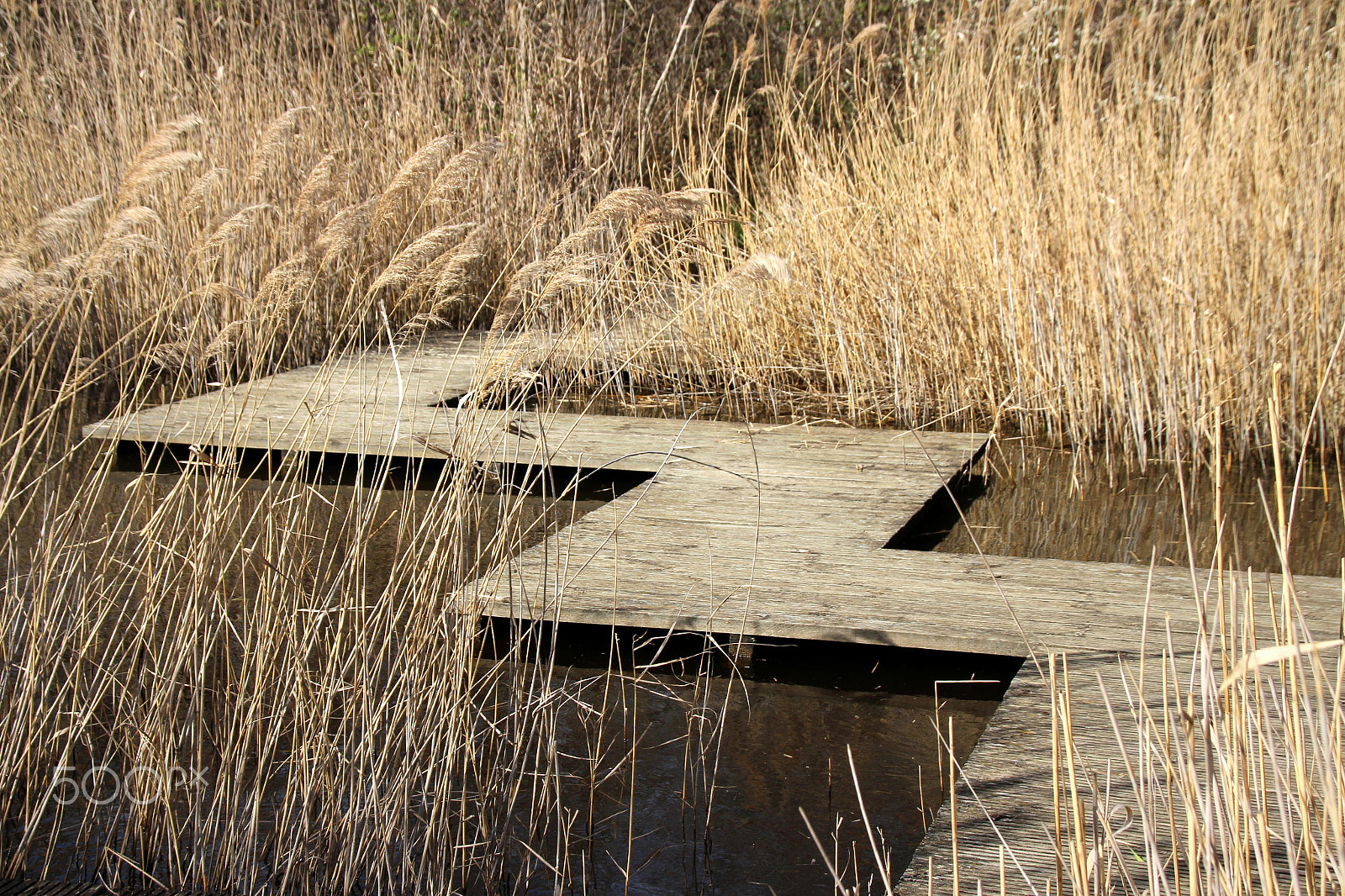 Sigma 18-250mm F3.5-6.3 DC OS HSM sample photo. Tortueux... photography
