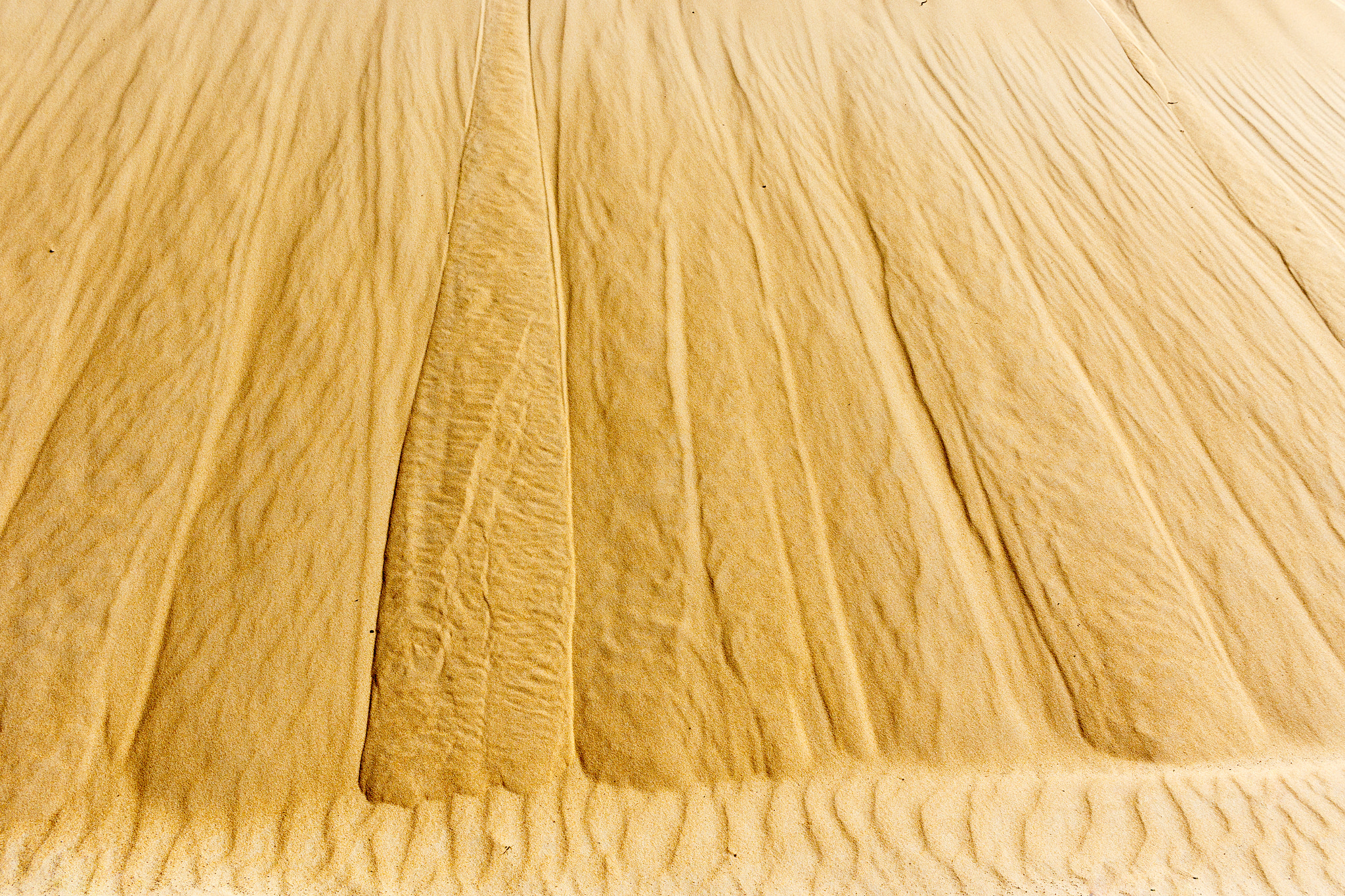 Canon EOS 7D Mark II sample photo. Close up of the sand dune at the beach. photography