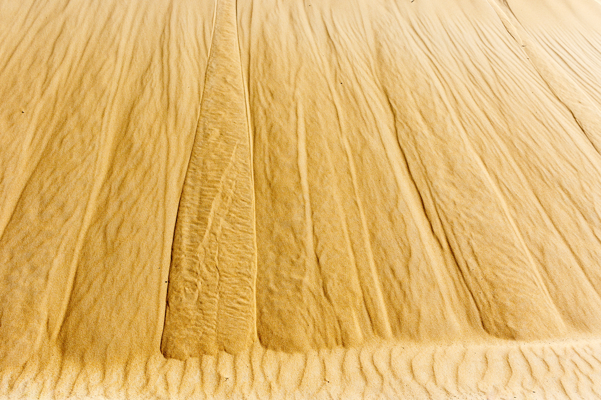 Canon EF-S 24mm F2.8 STM sample photo. Close up of the sand dune at the beach. photography