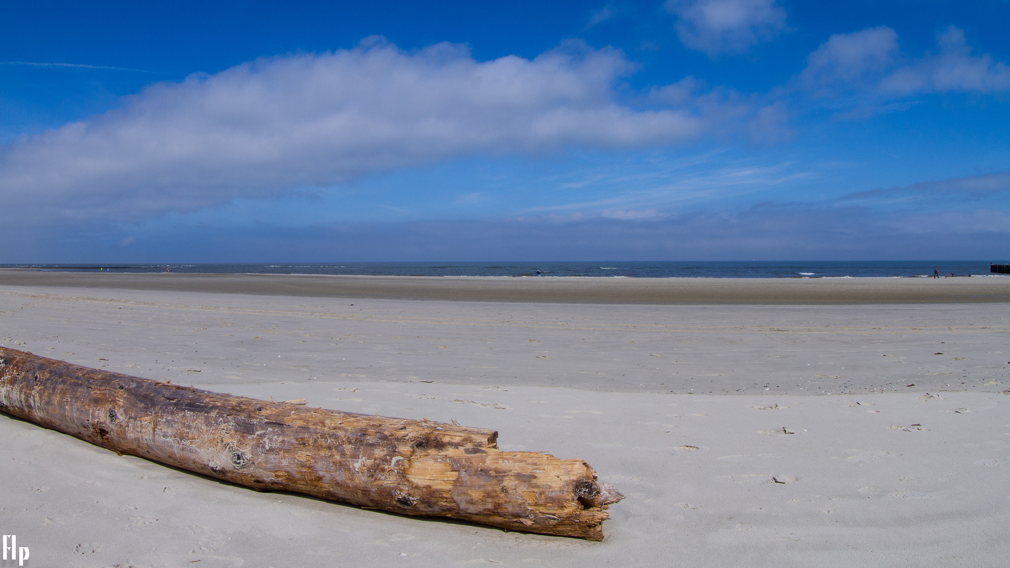 Canon EF 8-15mm F4L Fisheye USM sample photo. Strandgut nordsee photography