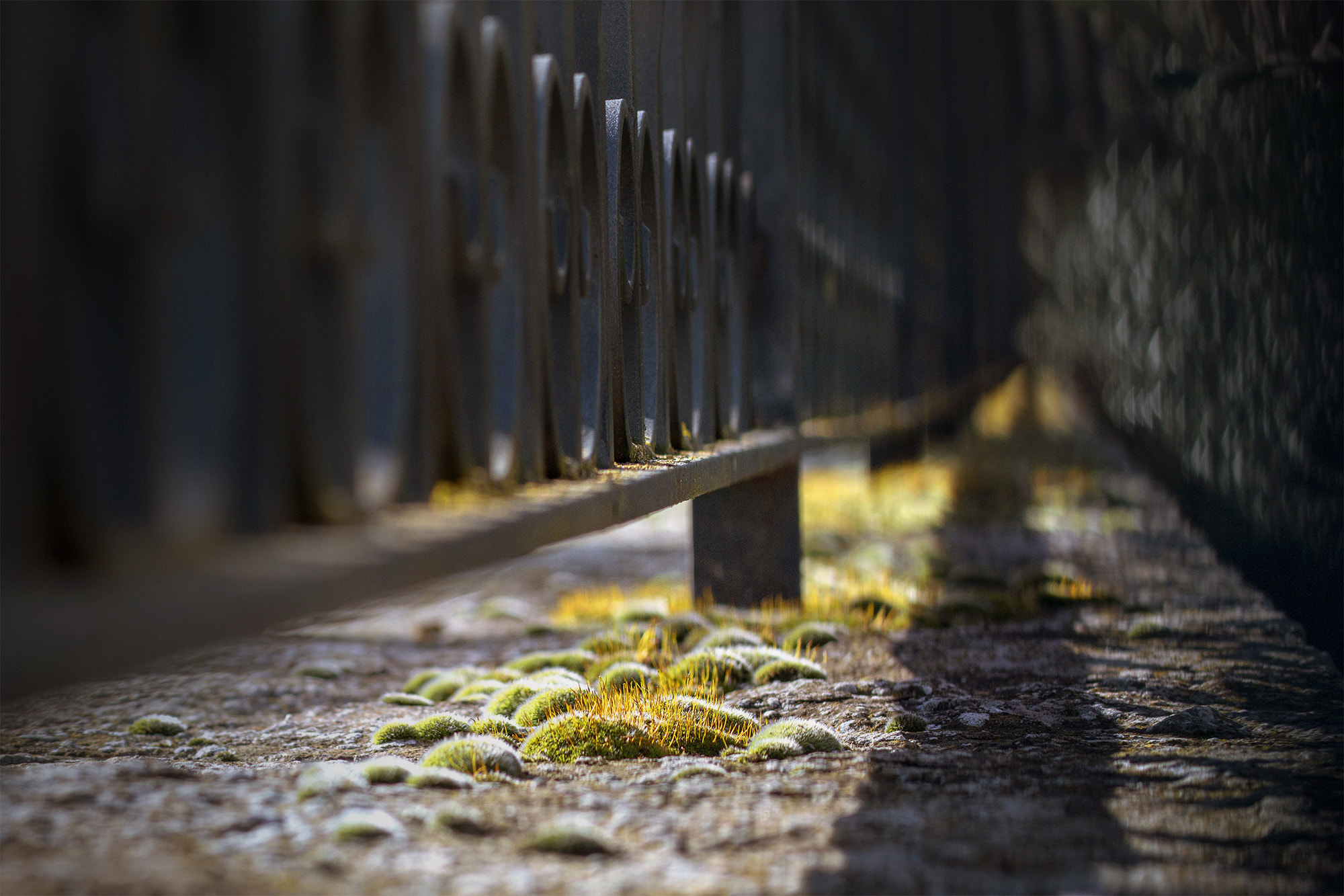 Canon EOS 70D sample photo. Fence (detail) photography