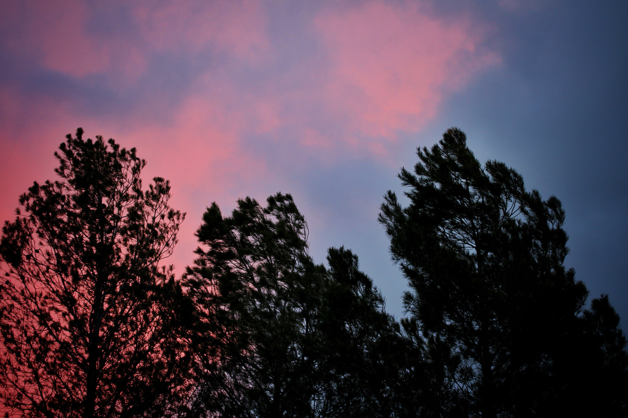 Canon EOS 70D sample photo. Atardece. photography