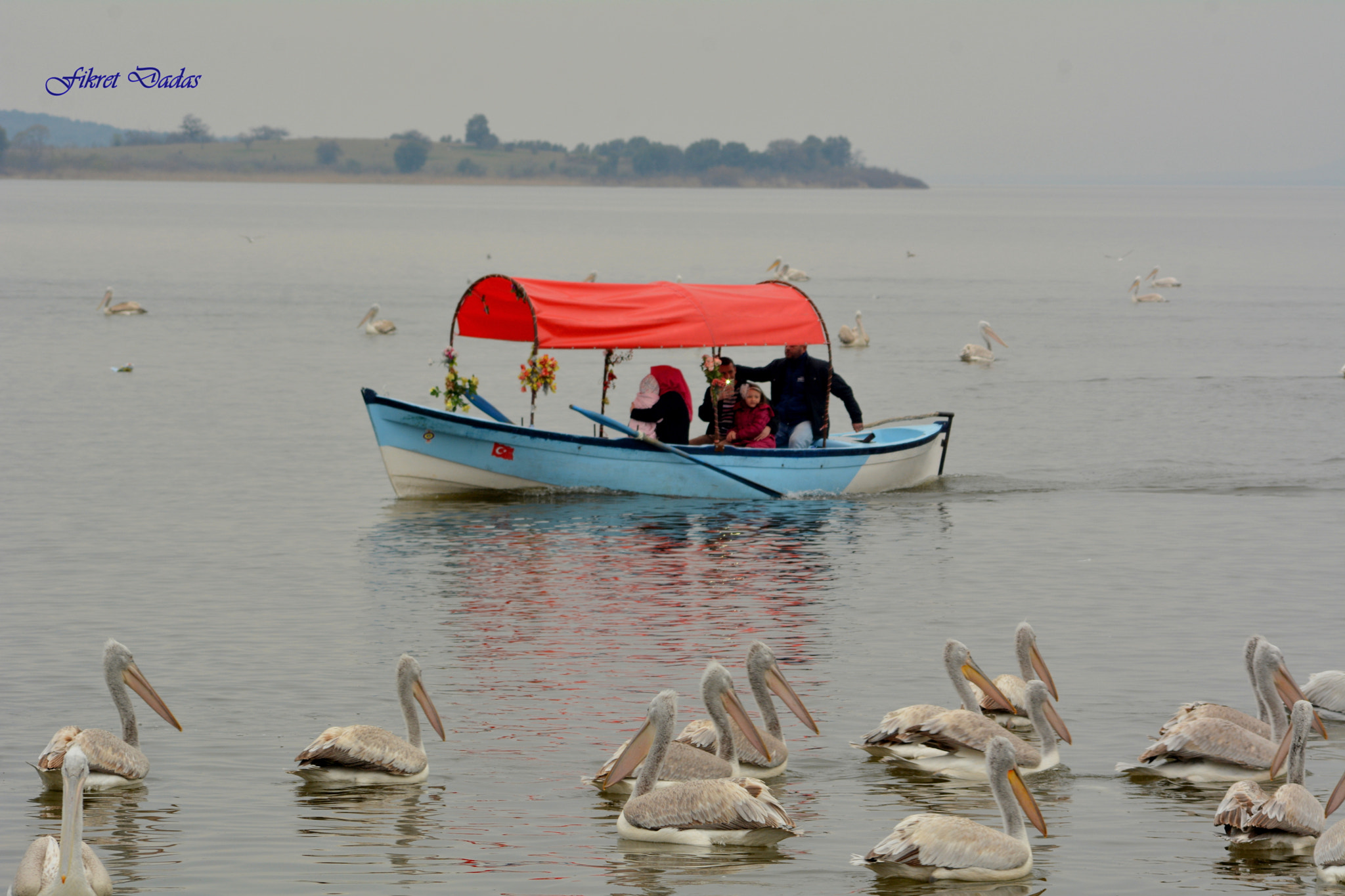 Nikon D7100 sample photo. Gölyazı photography