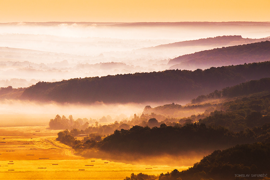 Nikon AF-S Nikkor 70-200mm F2.8G ED VR II sample photo. Golden morning photography