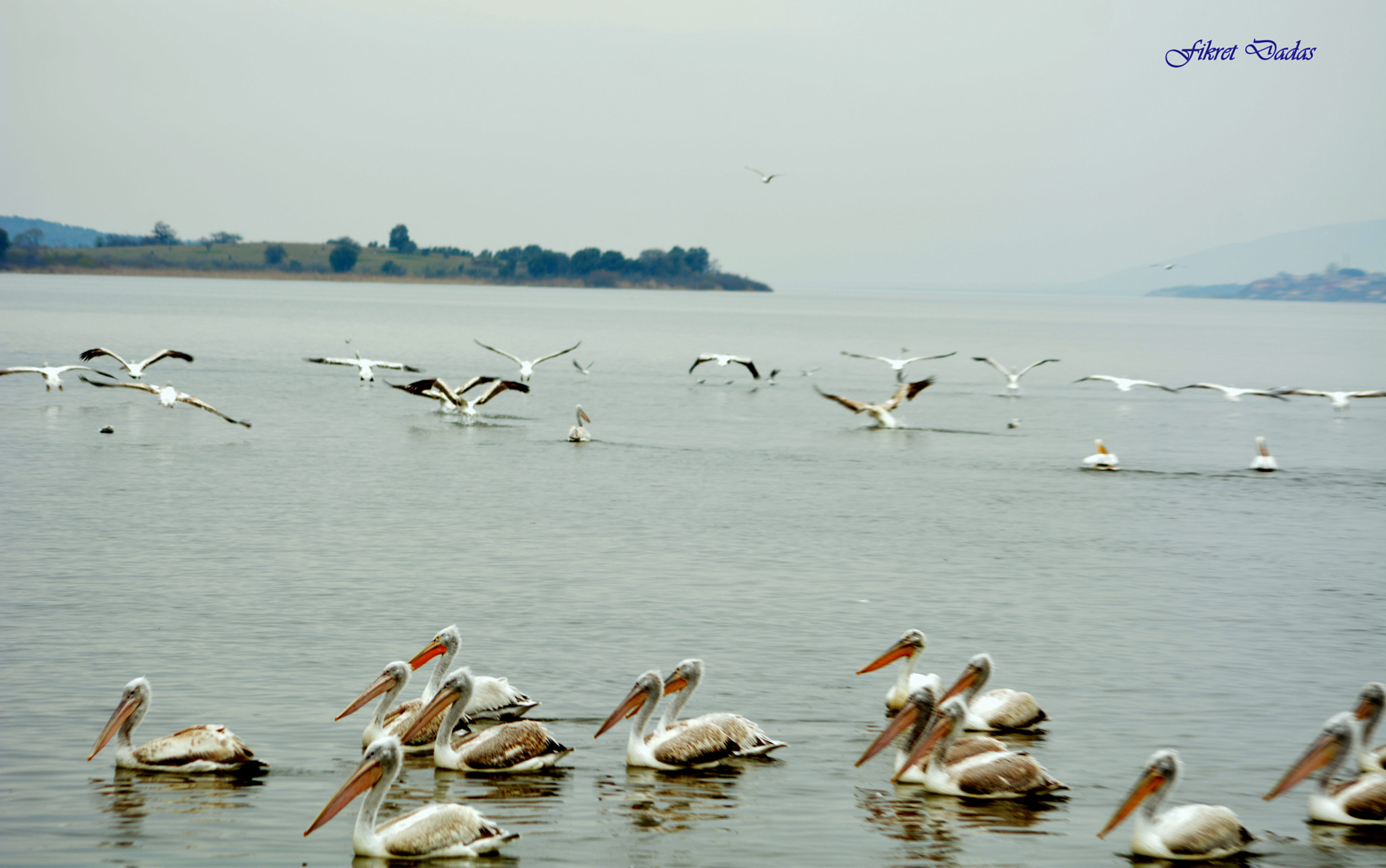 Nikon D7100 + AF Nikkor 70-210mm f/4-5.6 sample photo. Gölyazı photography