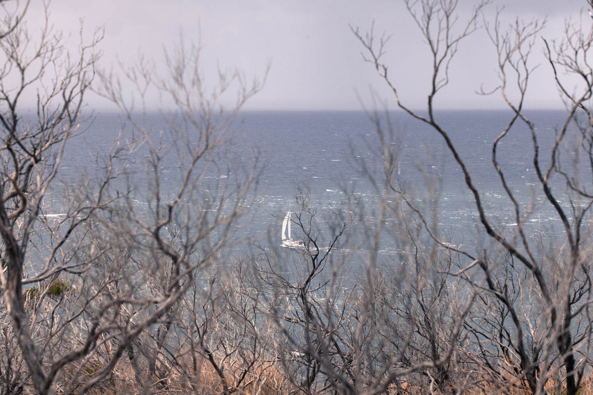 Canon EF 70-200mm F2.8L USM sample photo. Uncharted waters photography