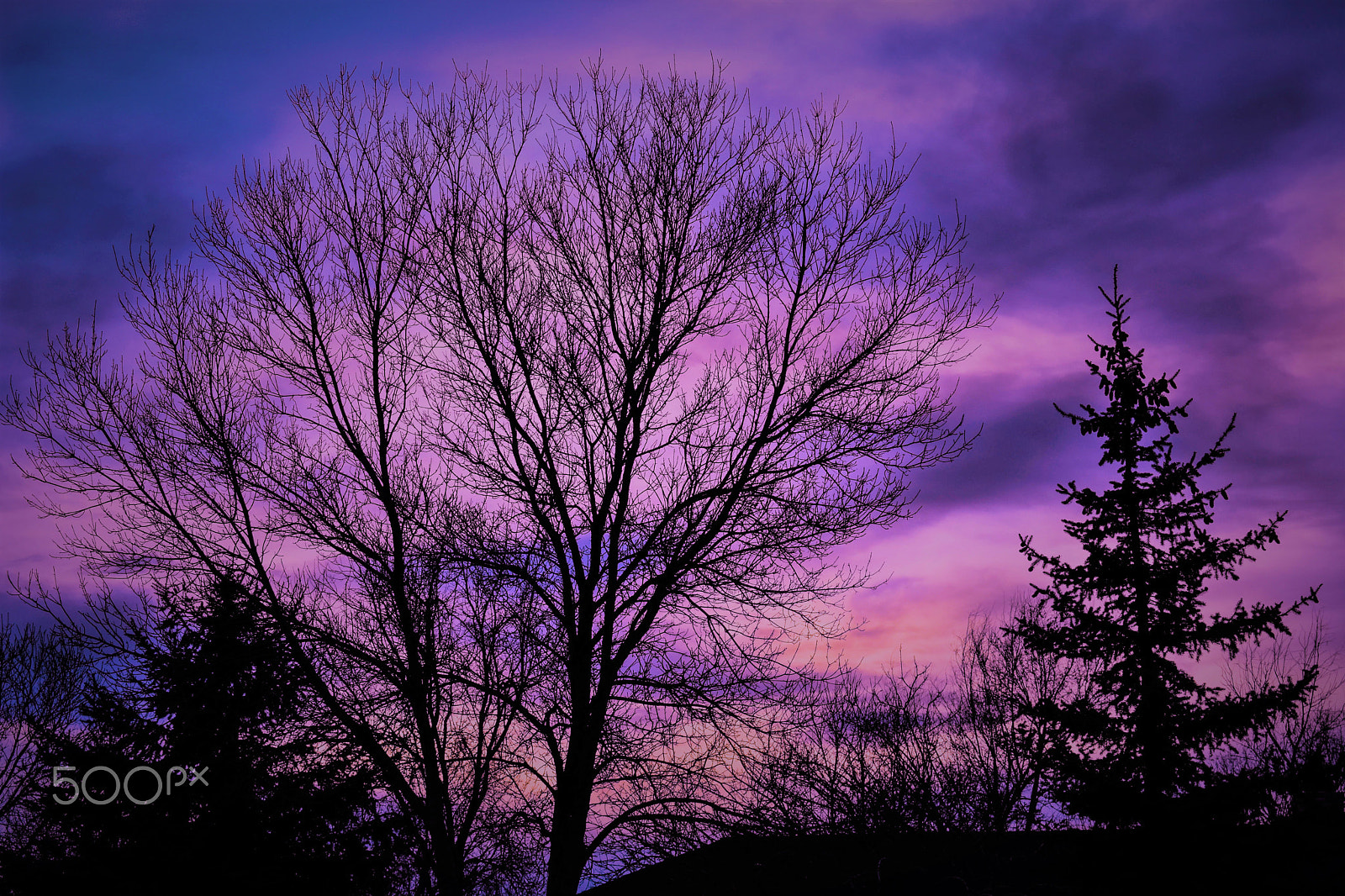 Nikon D3400 sample photo. Clouds-2 photography