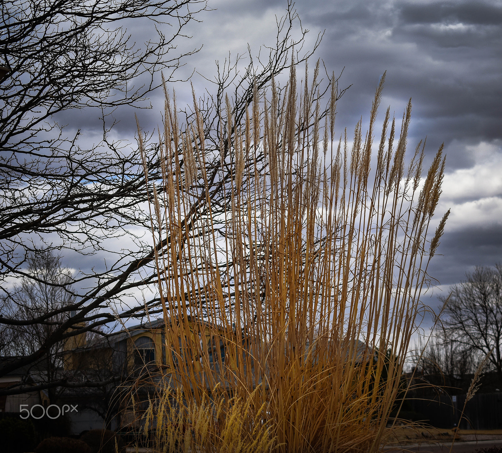 Nikon D3400 sample photo. Clouds-2 photography