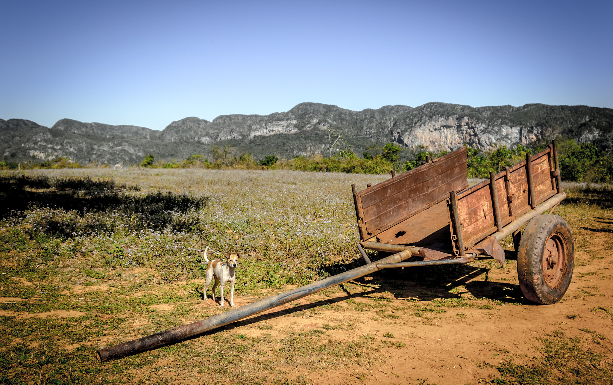 Canon EF-S 18-55mm F3.5-5.6 IS sample photo. Old car in sigar landscape photography
