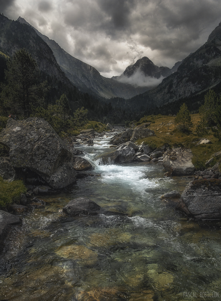 Nikon D200 + Sigma 18-50mm F2.8 EX DC sample photo. Pyrénées photography