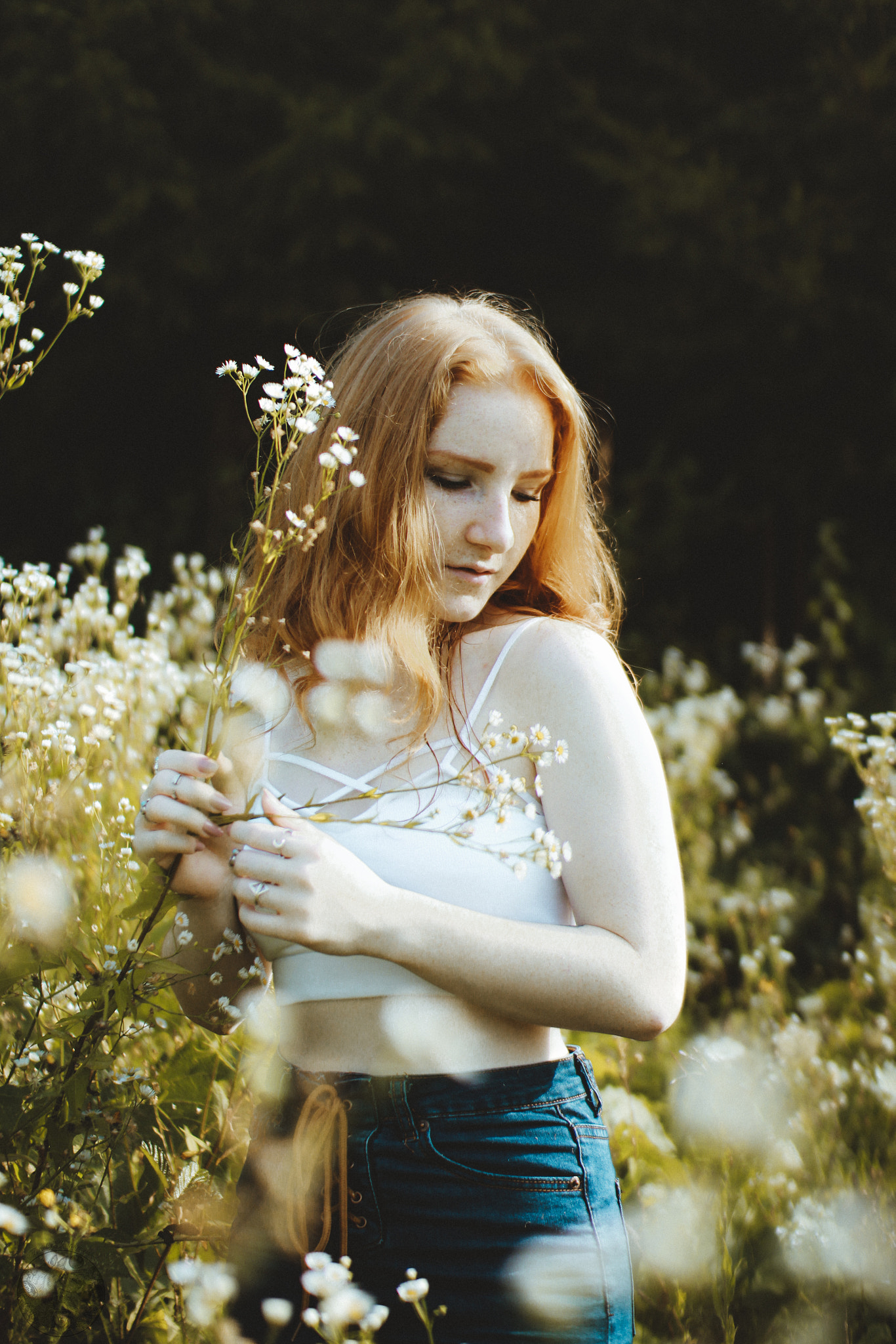 Sigma 30mm F1.4 EX DC HSM sample photo. Spring is here! photography