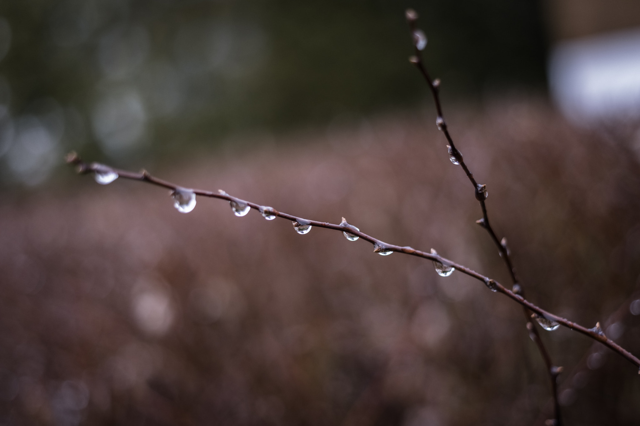 Samsung NX 30mm F2 Pancake sample photo. Mini lentilles photography