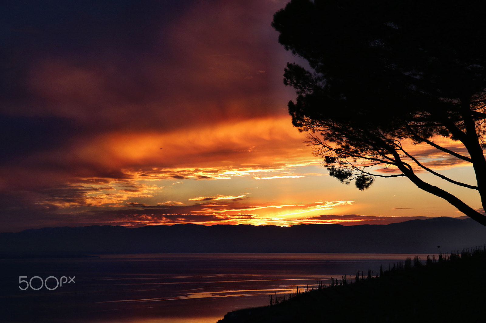 Canon EOS 7D Mark II sample photo. Sunset over the léman's lake by willie b photography