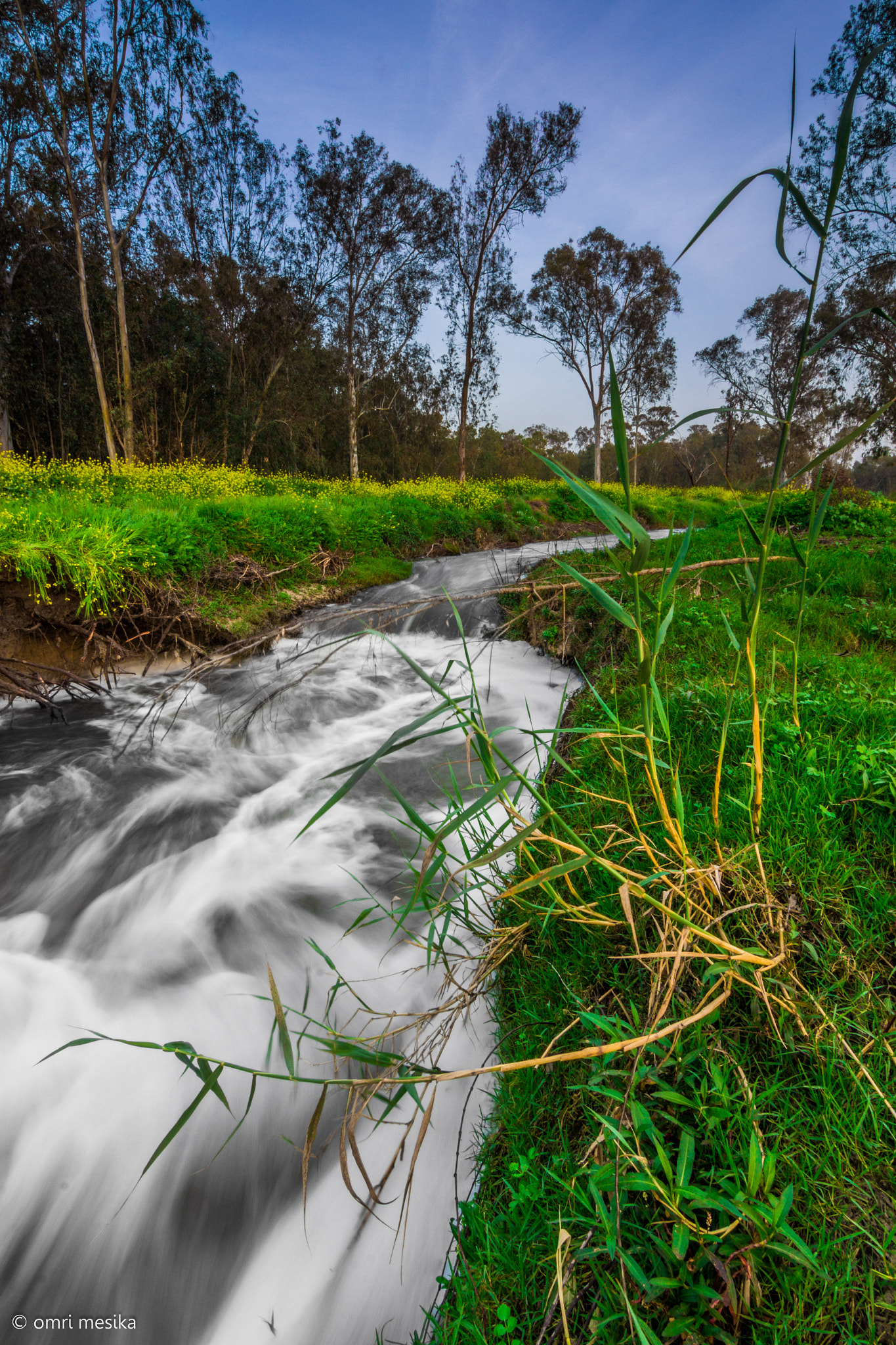 Canon EOS 60D sample photo. Black river photography