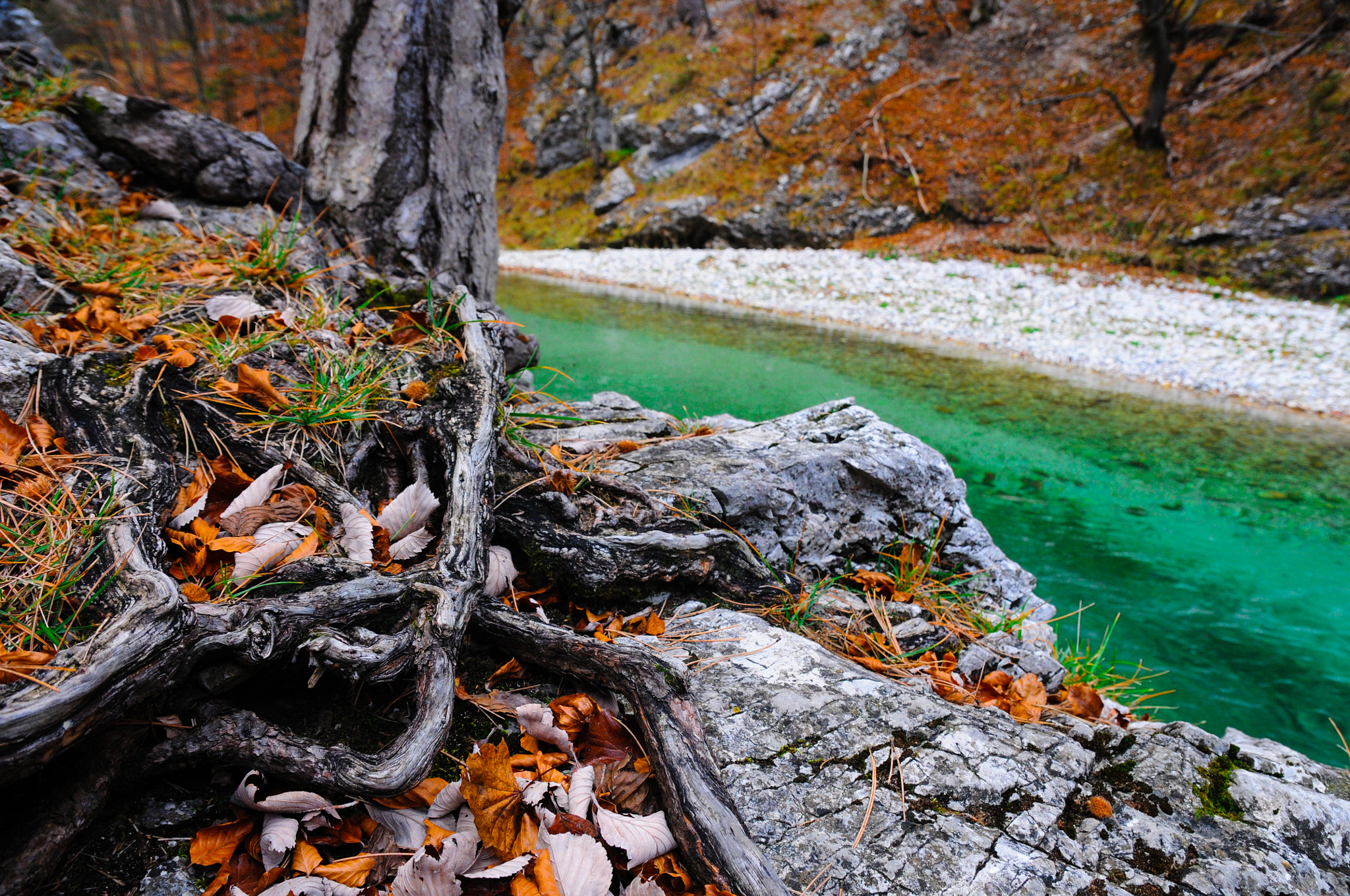 Nikon D300 sample photo. Austrian river () photography