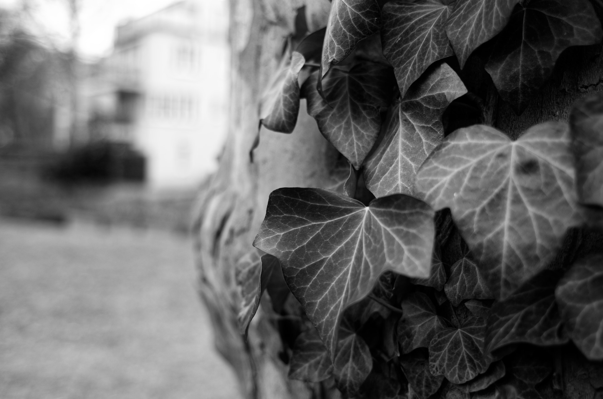 Nikon D7000 + Nikon AF Nikkor 24mm F2.8D sample photo. Concealed photography