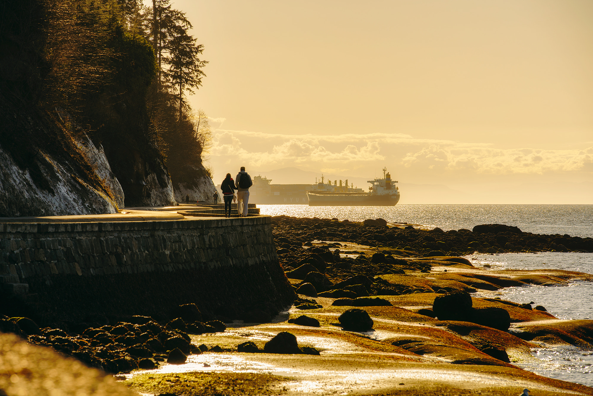 Sony a7R II sample photo. Walk in stanley park photography