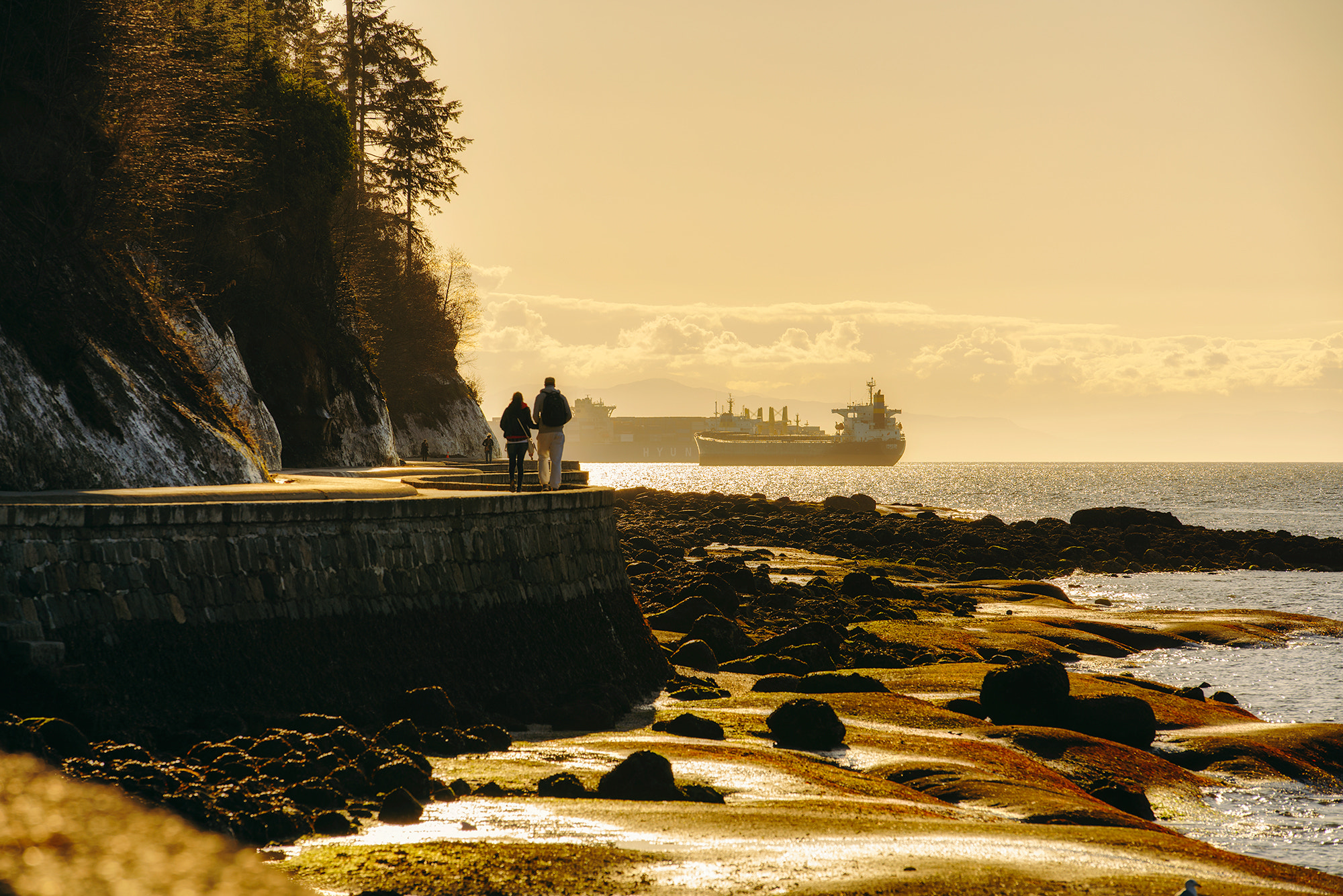 Canon EF 70-200mm F2.8L IS II USM sample photo. Walk in stanley park photography