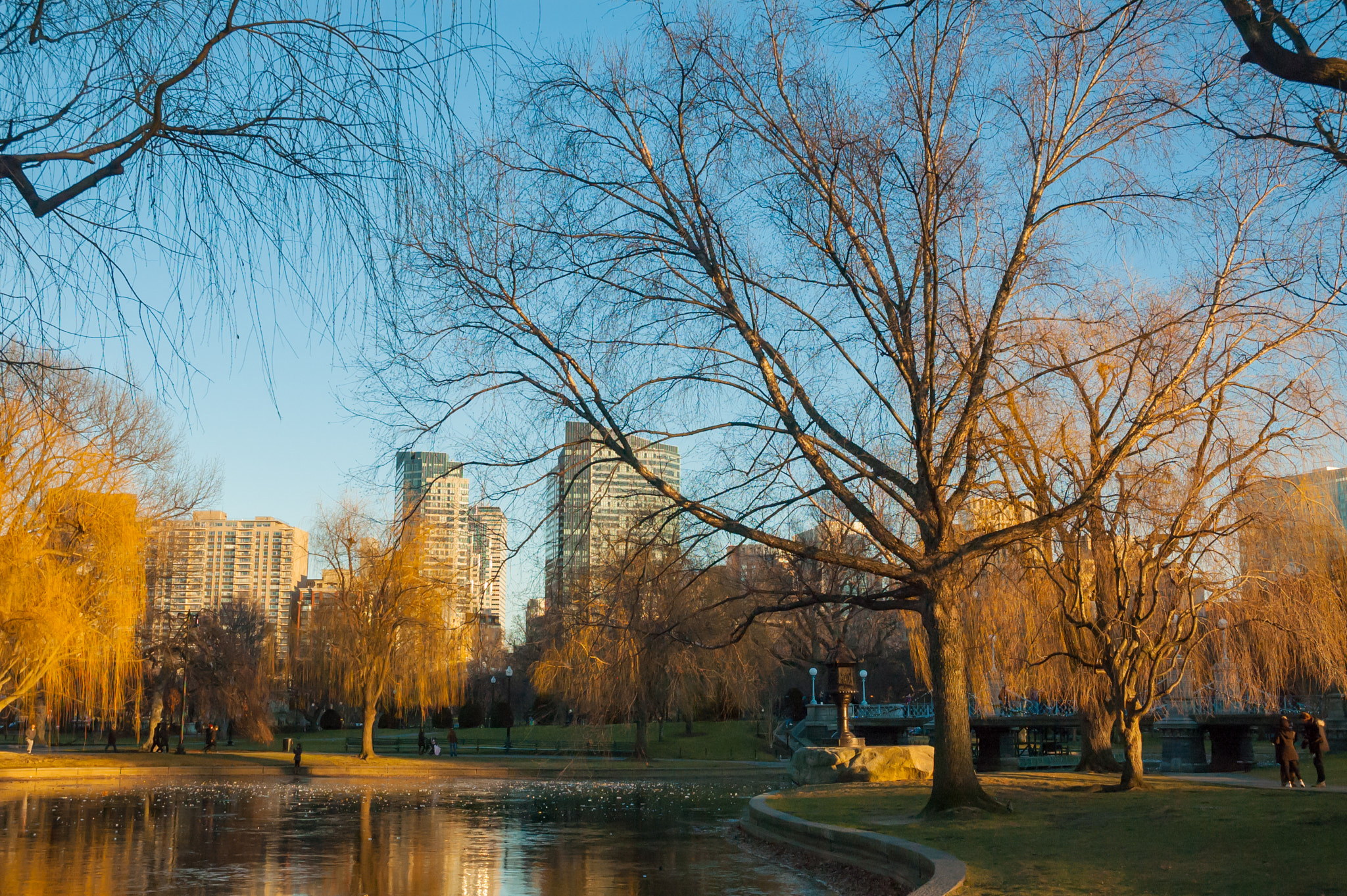 Nikon D70 sample photo. Boston commons photography