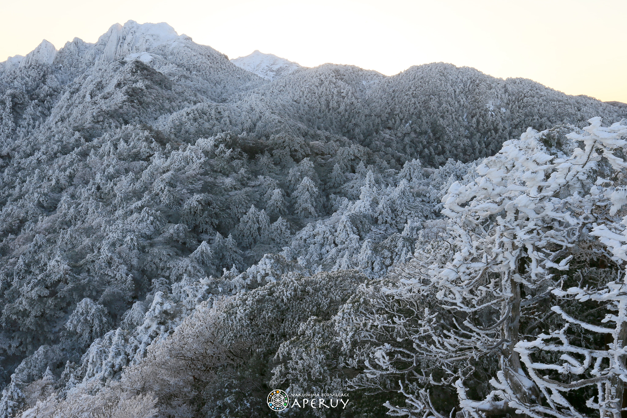 Canon EOS-1D X + Canon EF 16-35mm F2.8L II USM sample photo. Mt.nagata and mt.miyanoura covered with snow photography