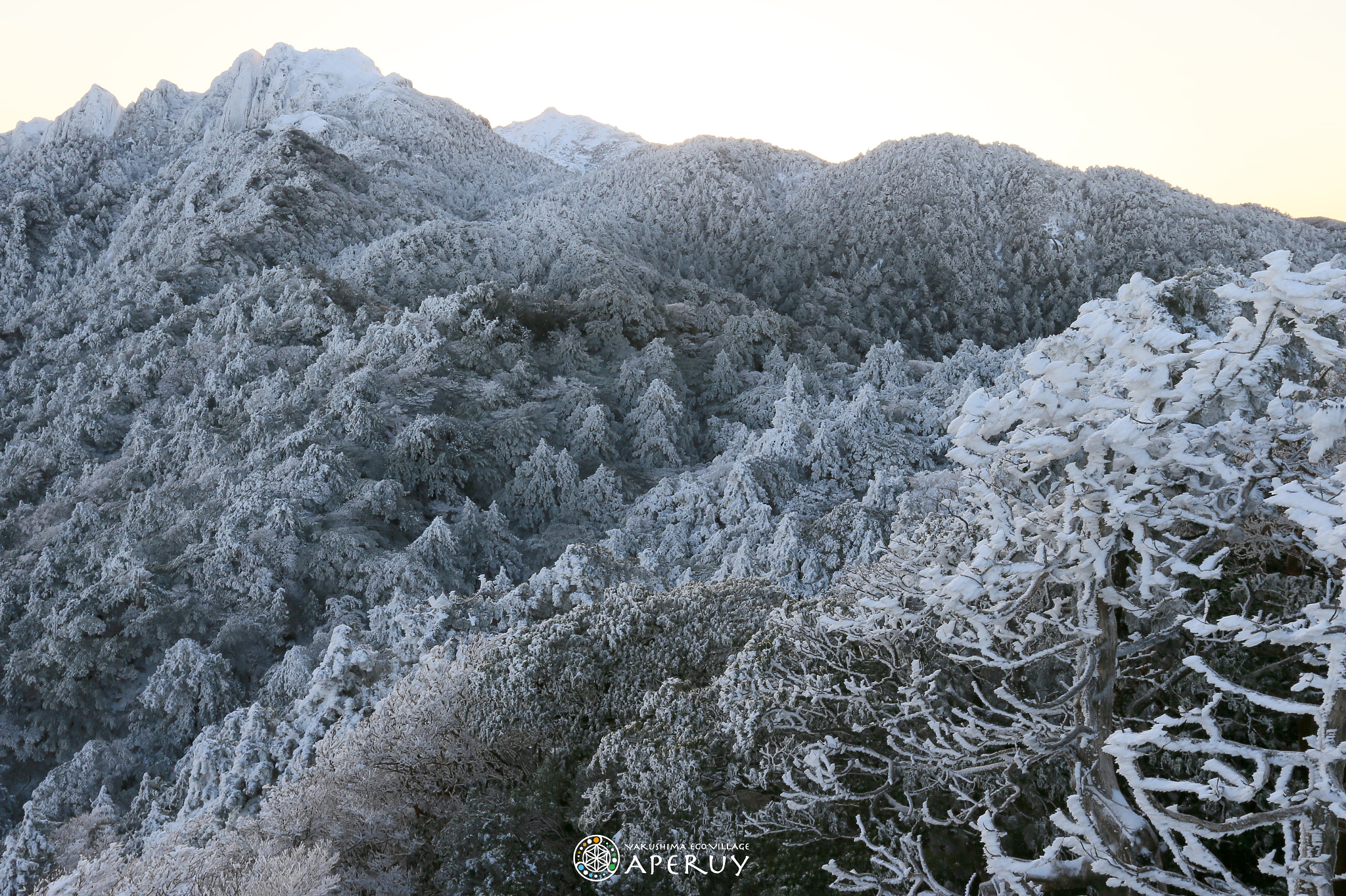 Canon EF 16-35mm F2.8L II USM sample photo. Mt.nagata and mt.miyanoura covered with snow photography
