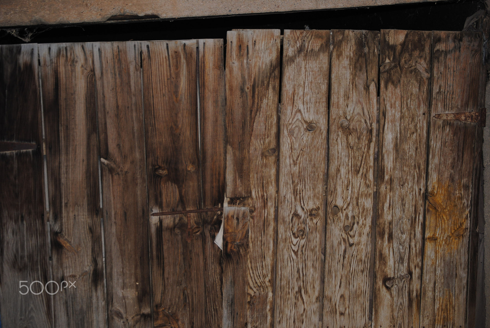 Nikon D3000 sample photo. Vmx photography