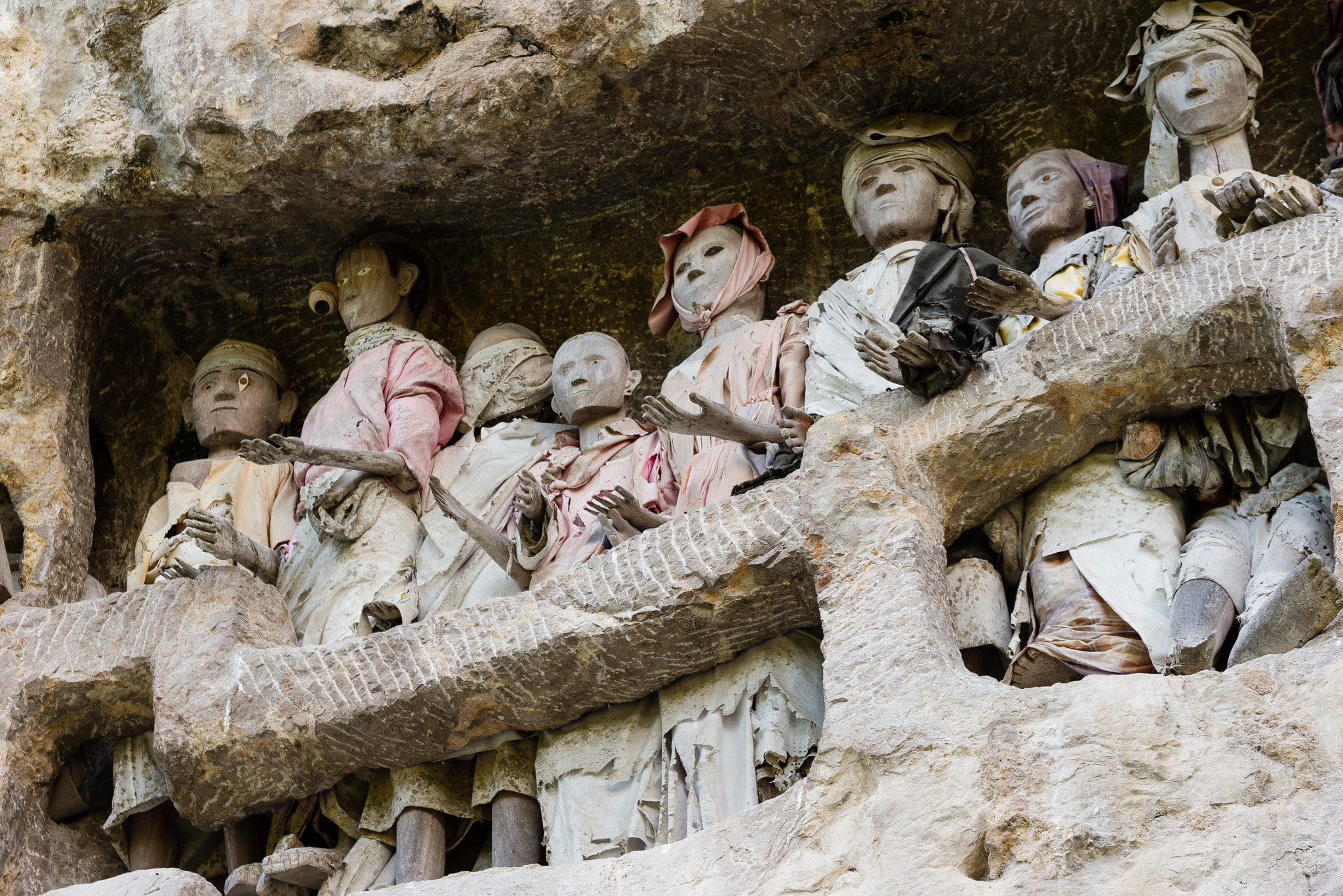 Nikon AF-S Nikkor 24-120mm F4G ED VR sample photo. Indonésie - sangalla photography