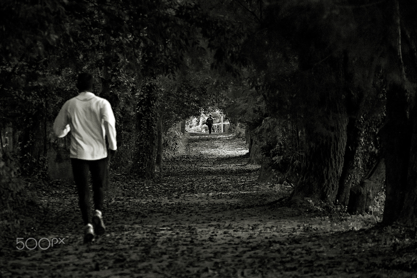 Canon EOS 500D (EOS Rebel T1i / EOS Kiss X3) sample photo. Running for the light. photography