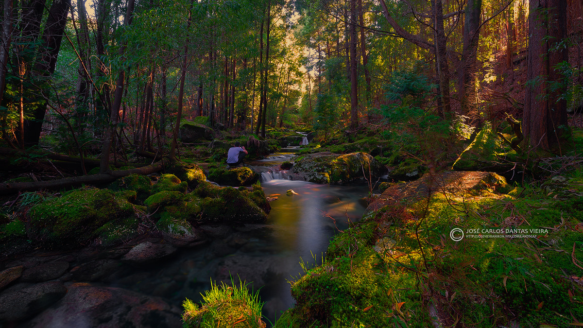 Nikon AF-S Nikkor 16-35mm F4G ED VR sample photo. River photography