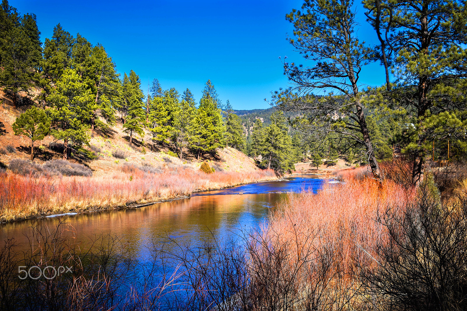 Nikon D3400 sample photo. Peaceful stream photography