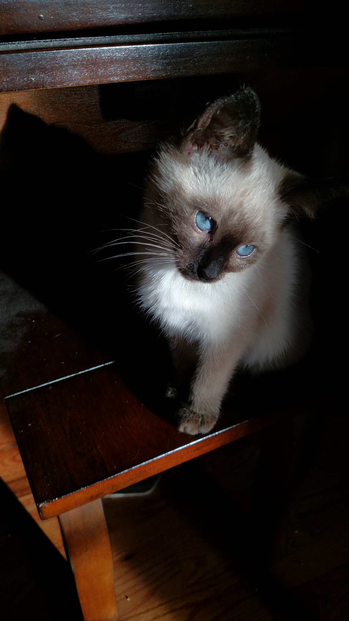 Motorola Droid Turbo sample photo