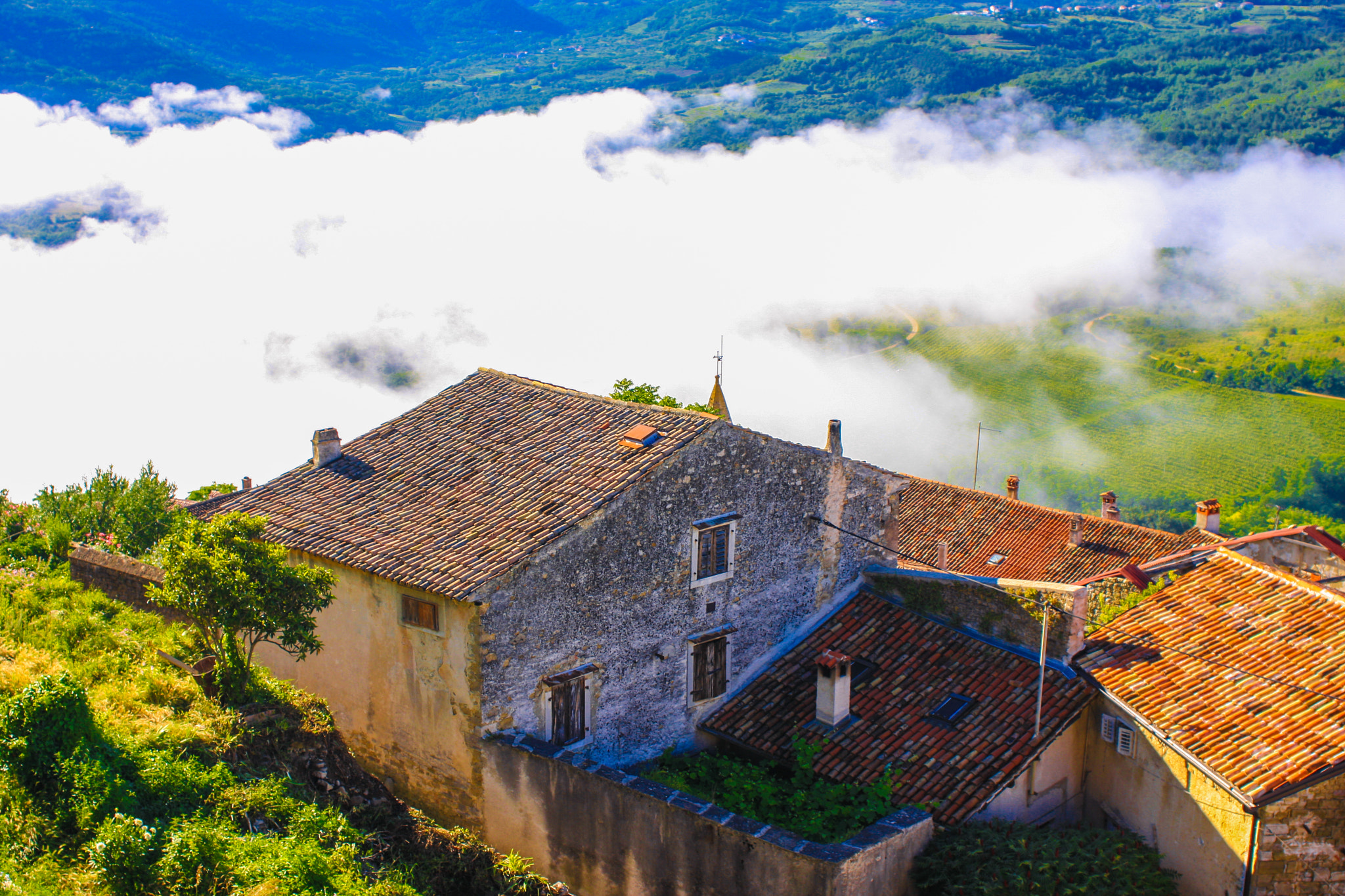 Canon EF 28-80mm f/2.8-4L sample photo. Motovun, croatia photography