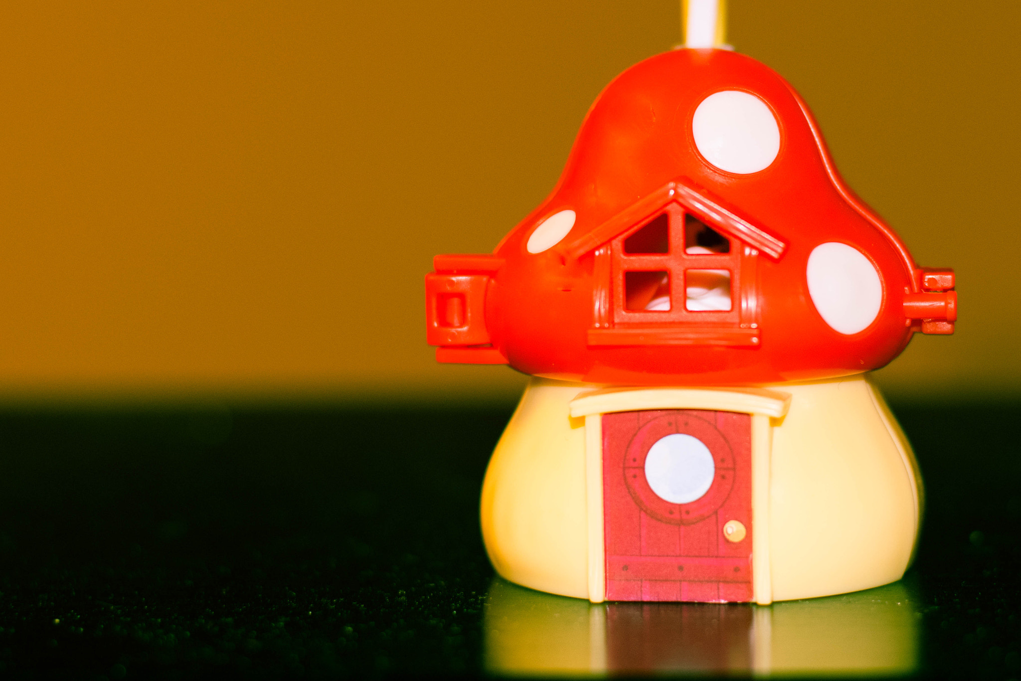 Nikon D5600 + Nikon AF-S Nikkor 50mm F1.8G sample photo. Dsc photography